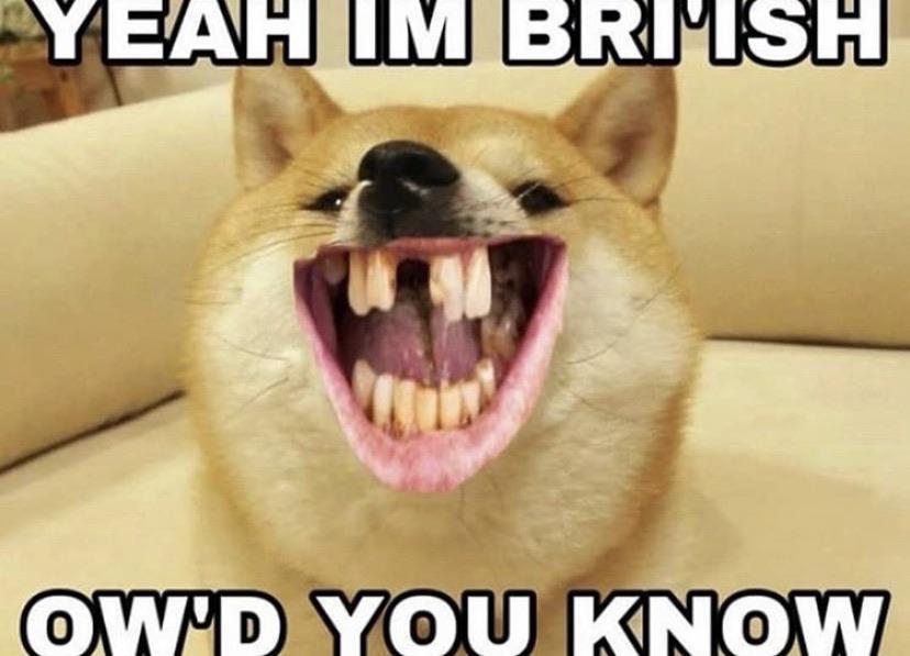 Sup mate memes