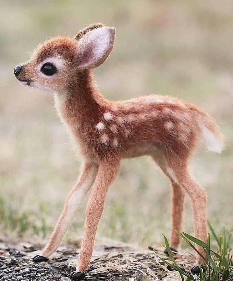 Bambi In Real Life 3 Raww