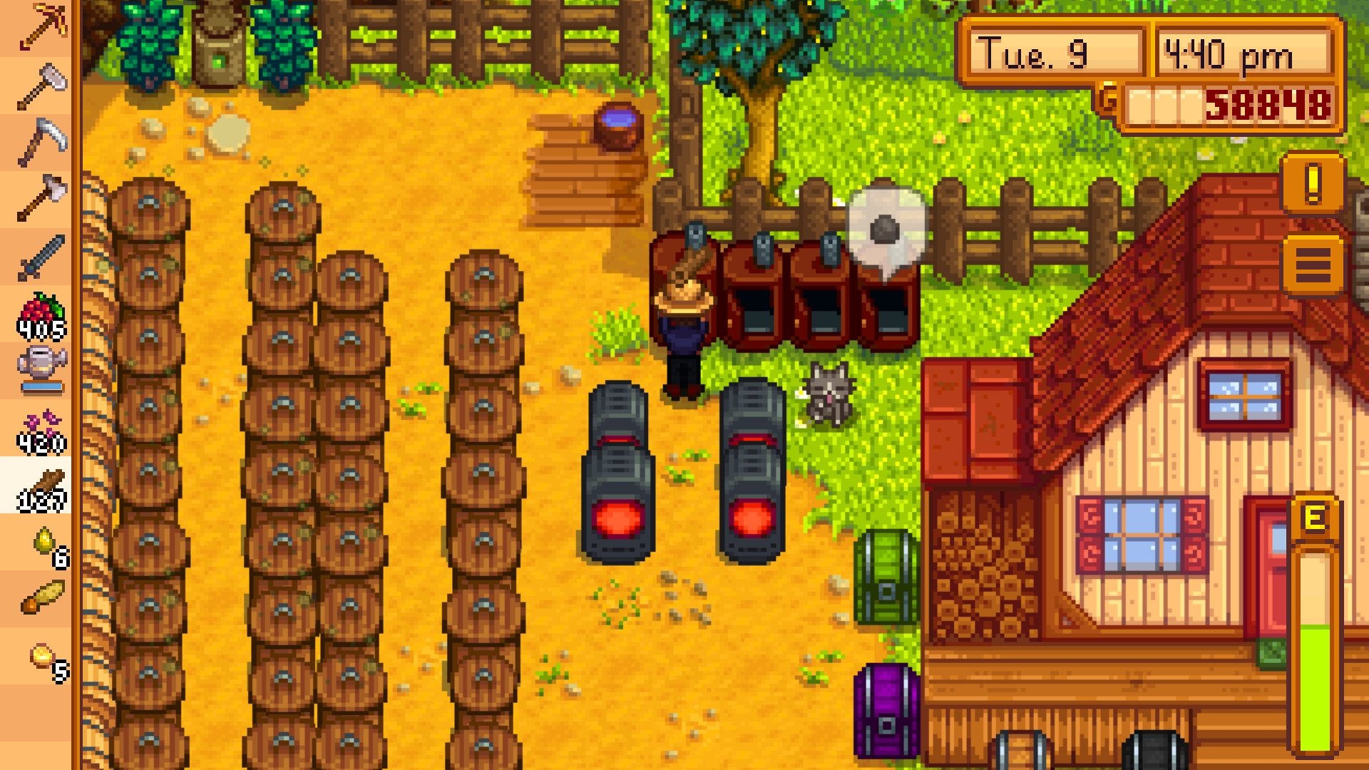 Do I Need To Feed My Dog Stardew Valley