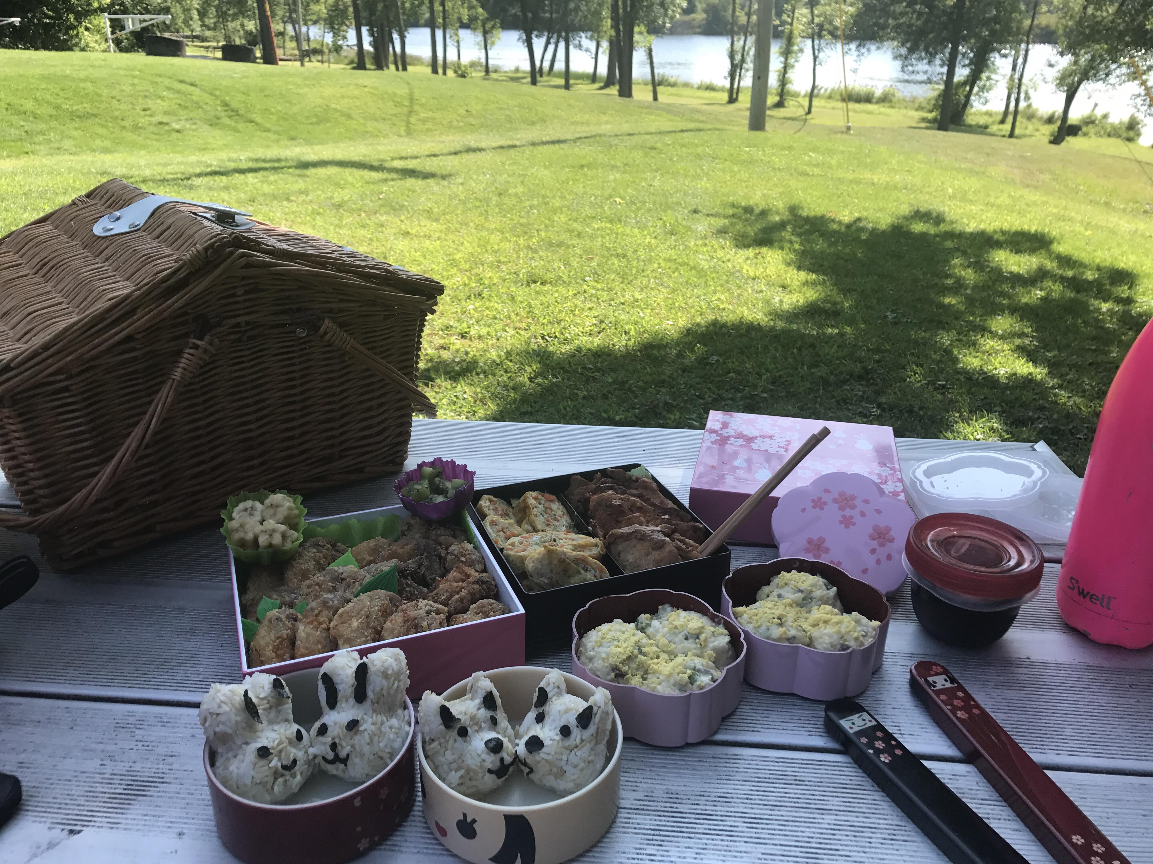 Korean cuisine picnic Fried Chicken wings (Dakgangjeong), Egg Rolls