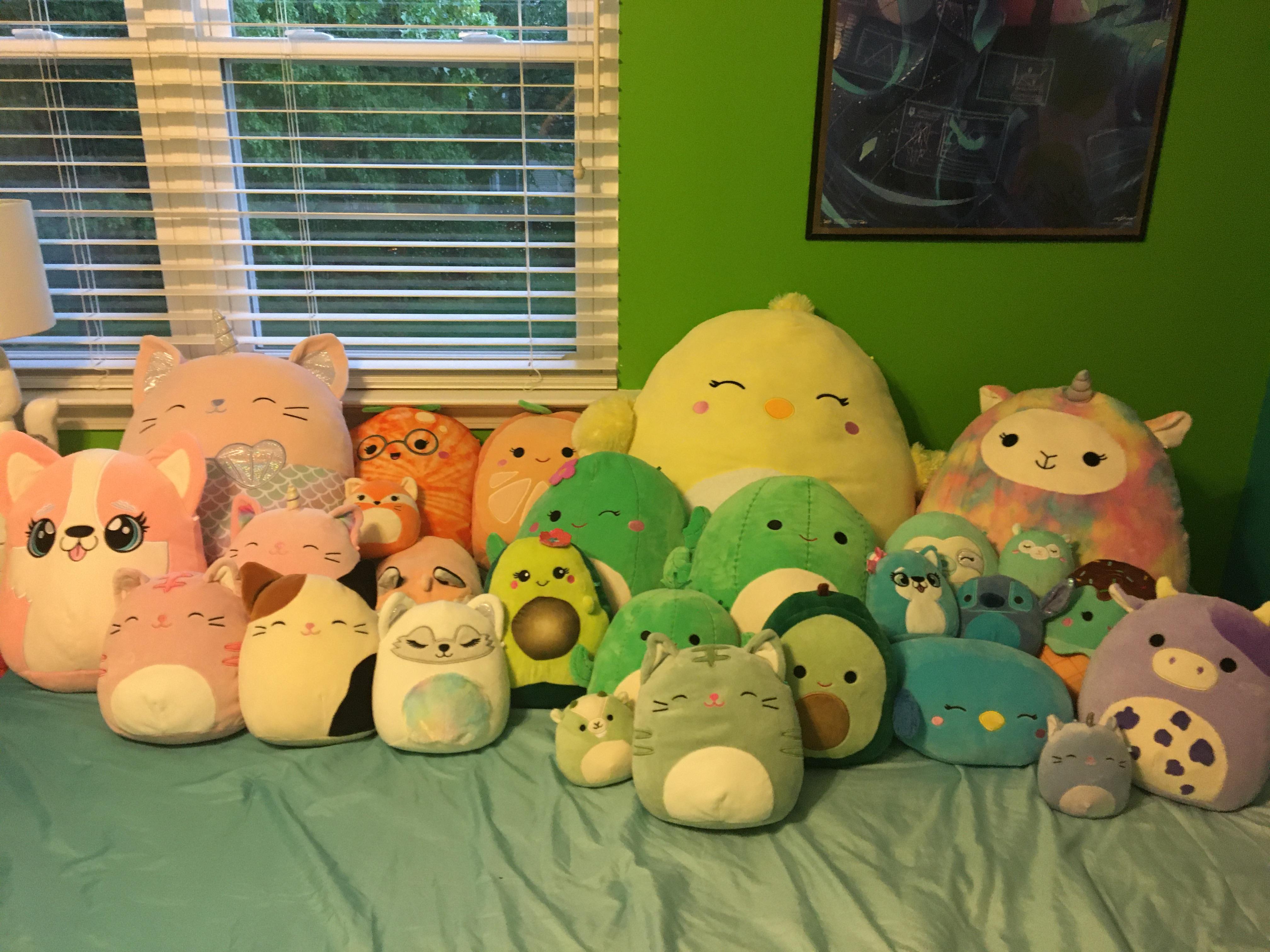 Wow, I'm pretty sure I have too many Squishmallows! r/squishmallow