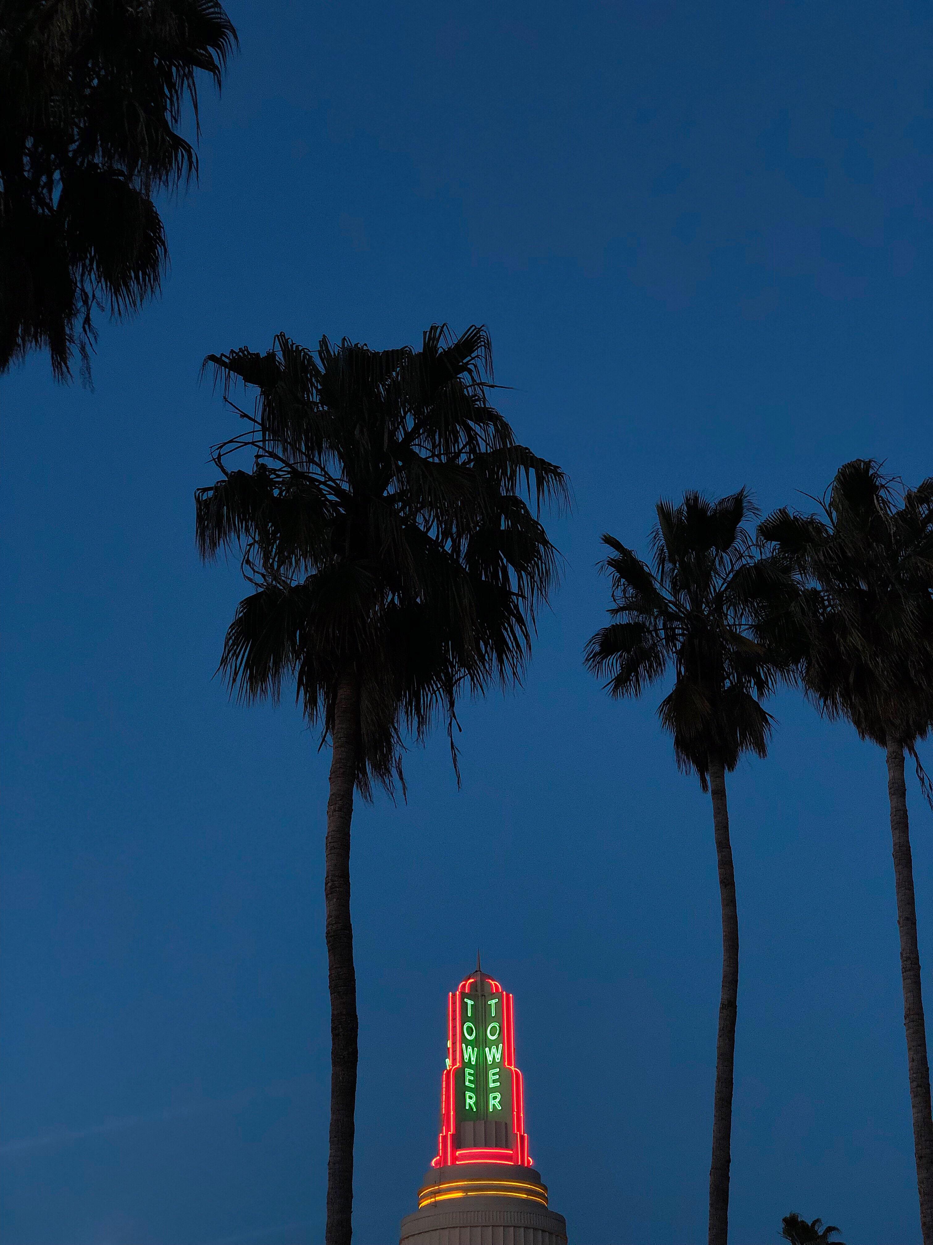 Tower & Palm Trees r/Sacramento