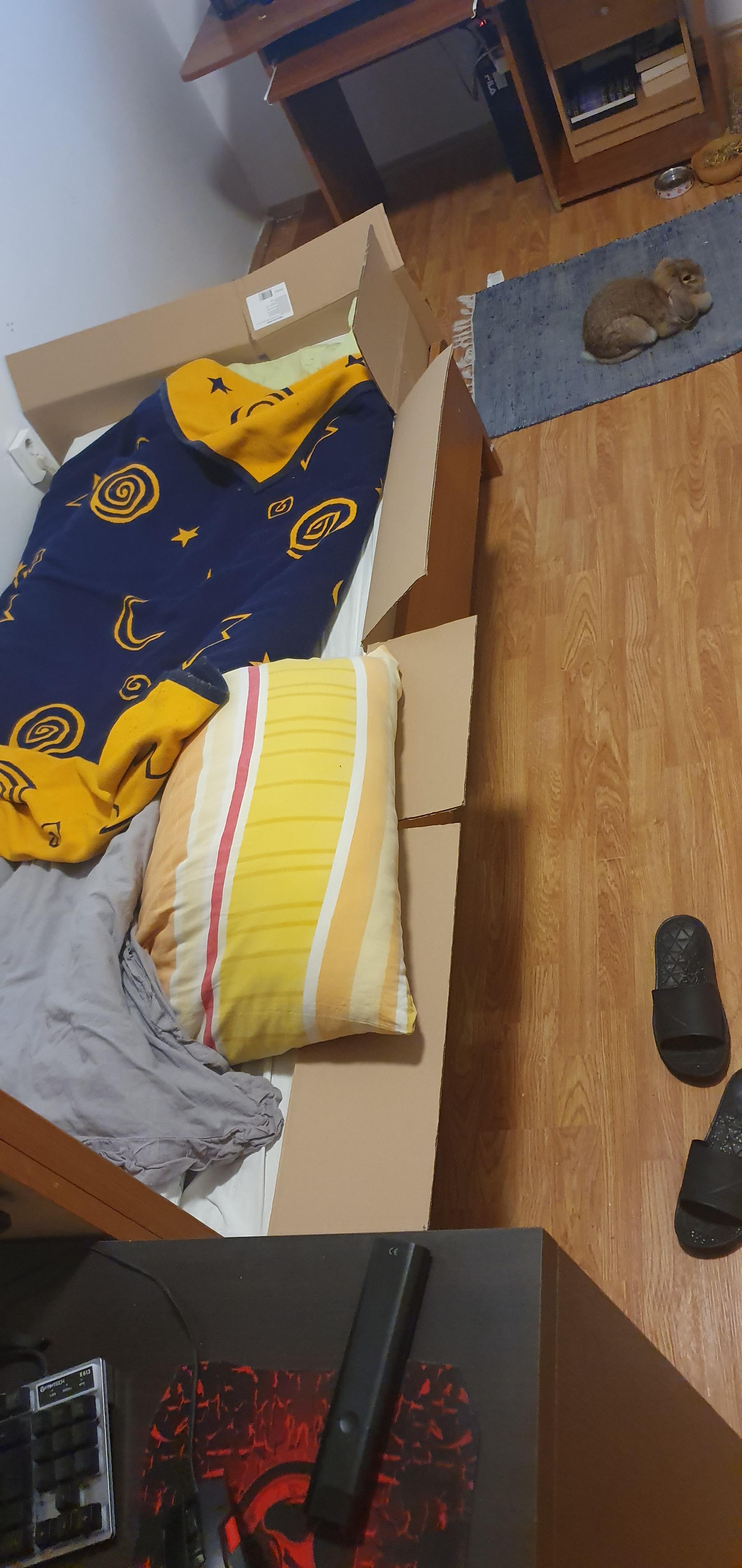 When you get a bunny but you are the one who has to sleep in a cage r