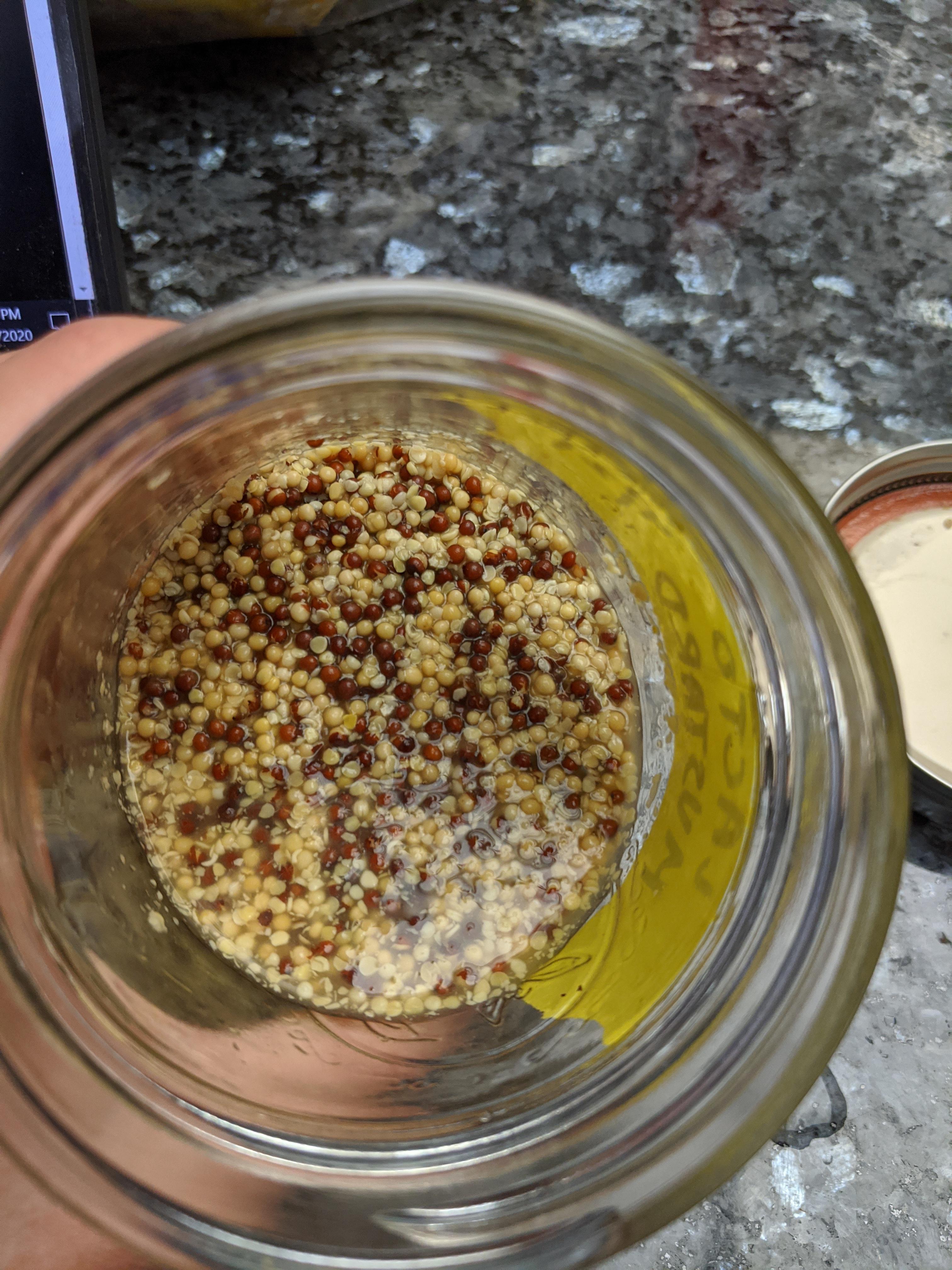 Lacto mustard seeds too much excess liquid after a 5 day ferment; how