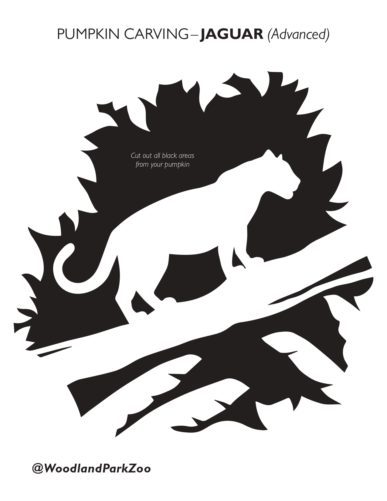 Tiger Pumpkin Stencils