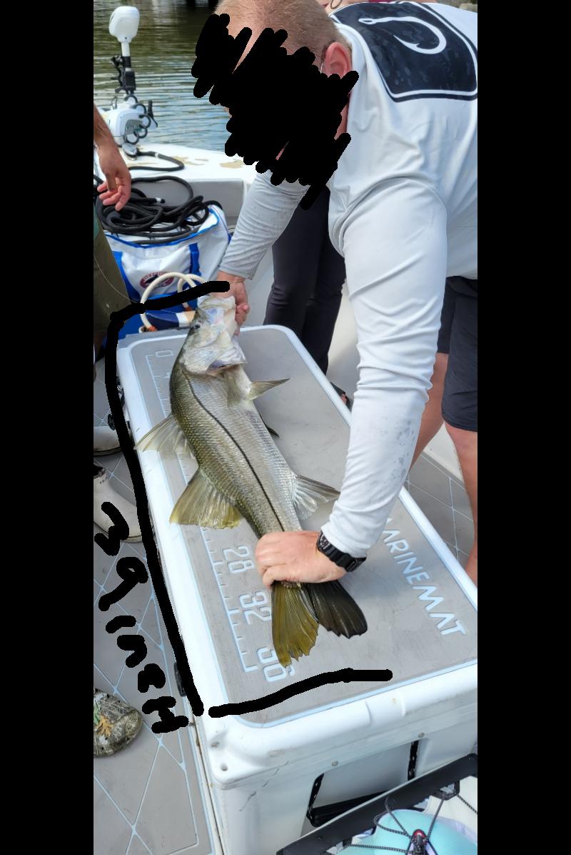 over slot fun in Miami this afternoon r/Fishing