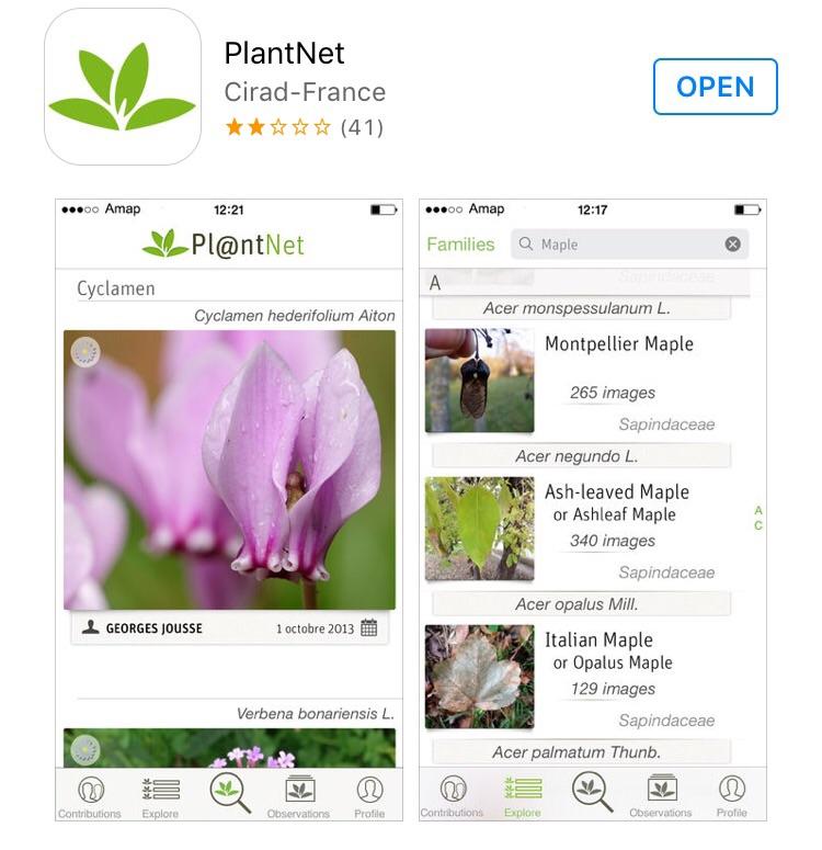 Plant identification app r/gardening