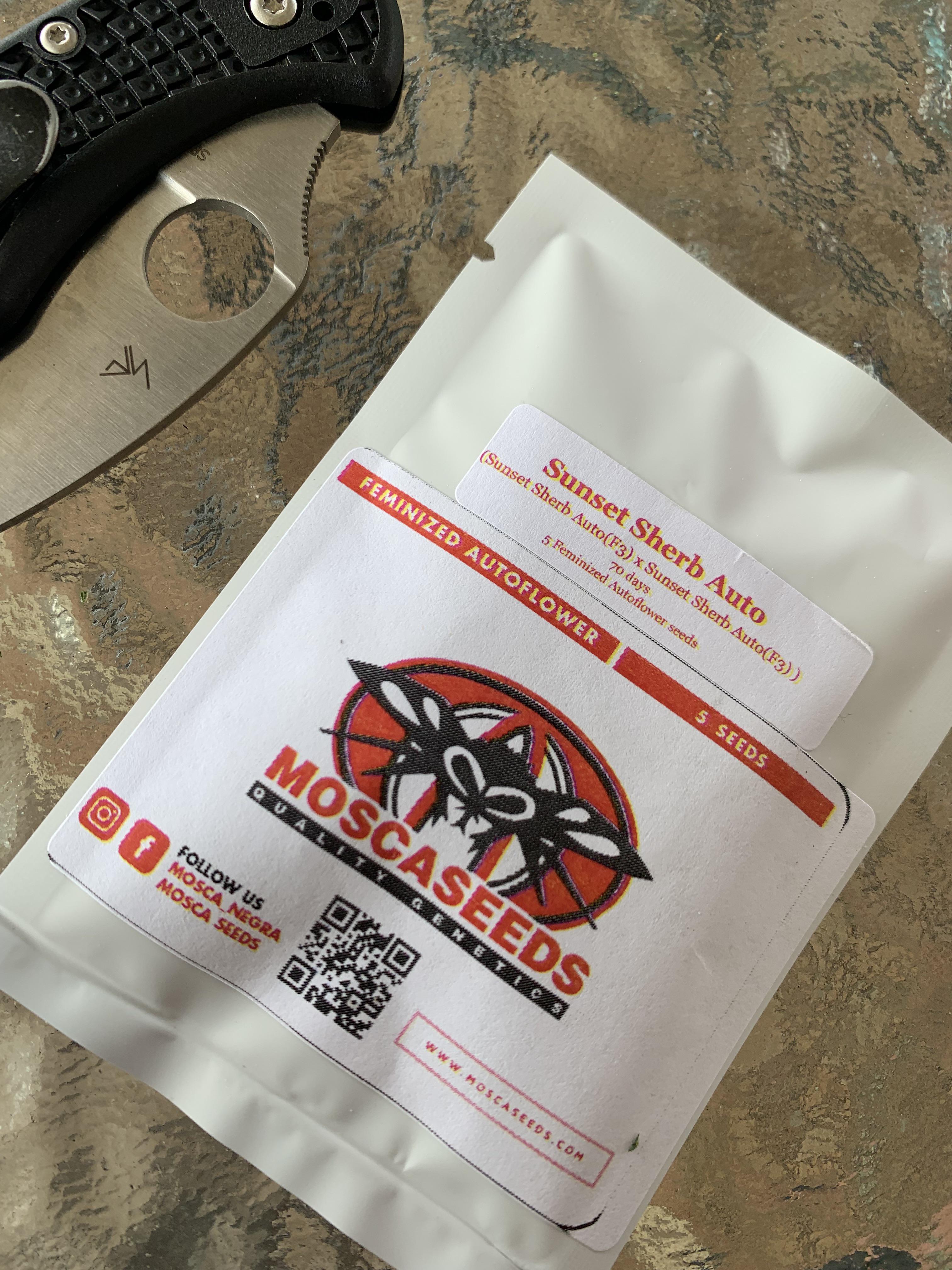 Up next! Blazing shipping from Oregon Elite Seeds. I tucked one into a