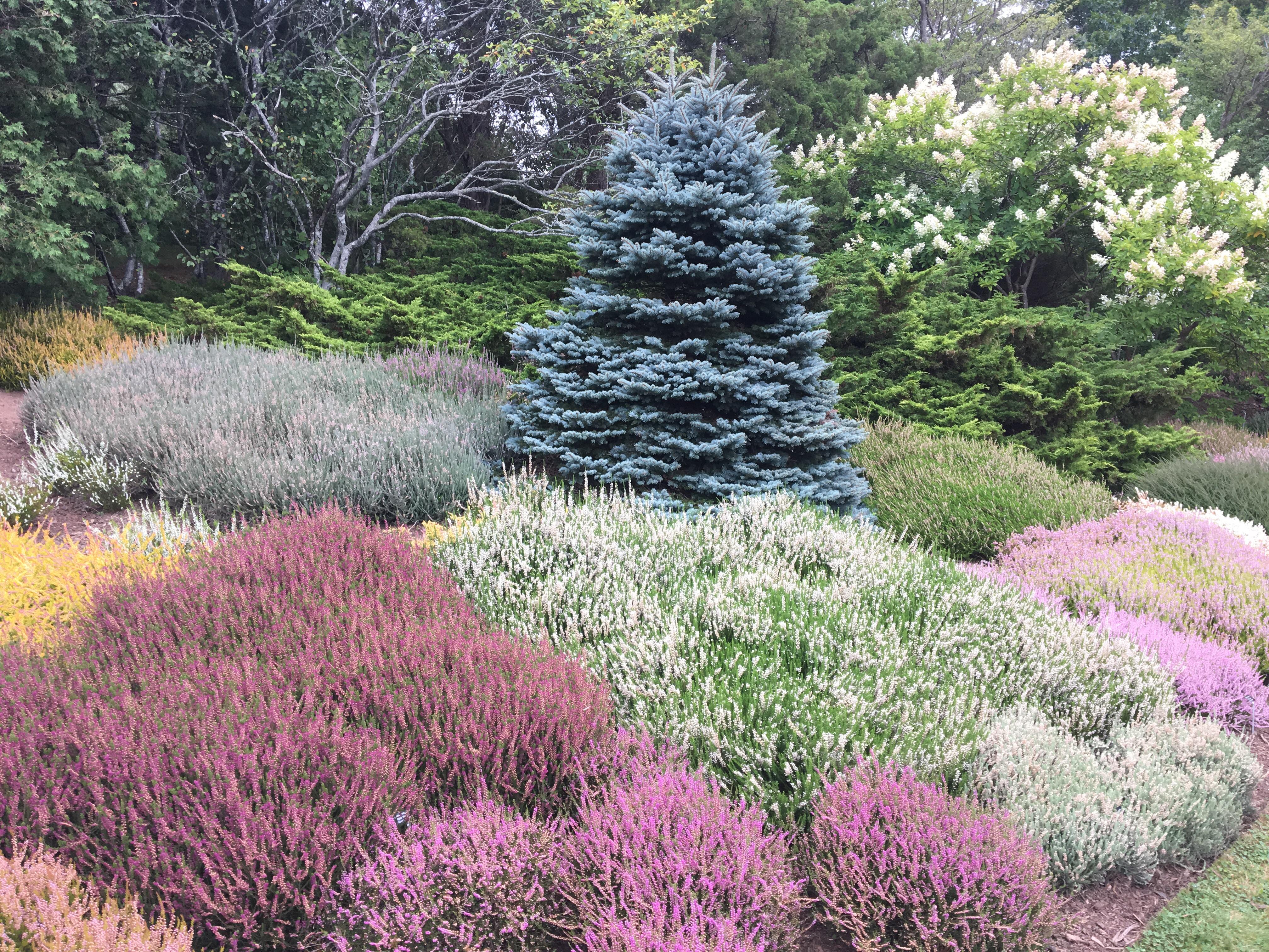 Lush garden in Yarmouth, Nova Scotia r/gardening