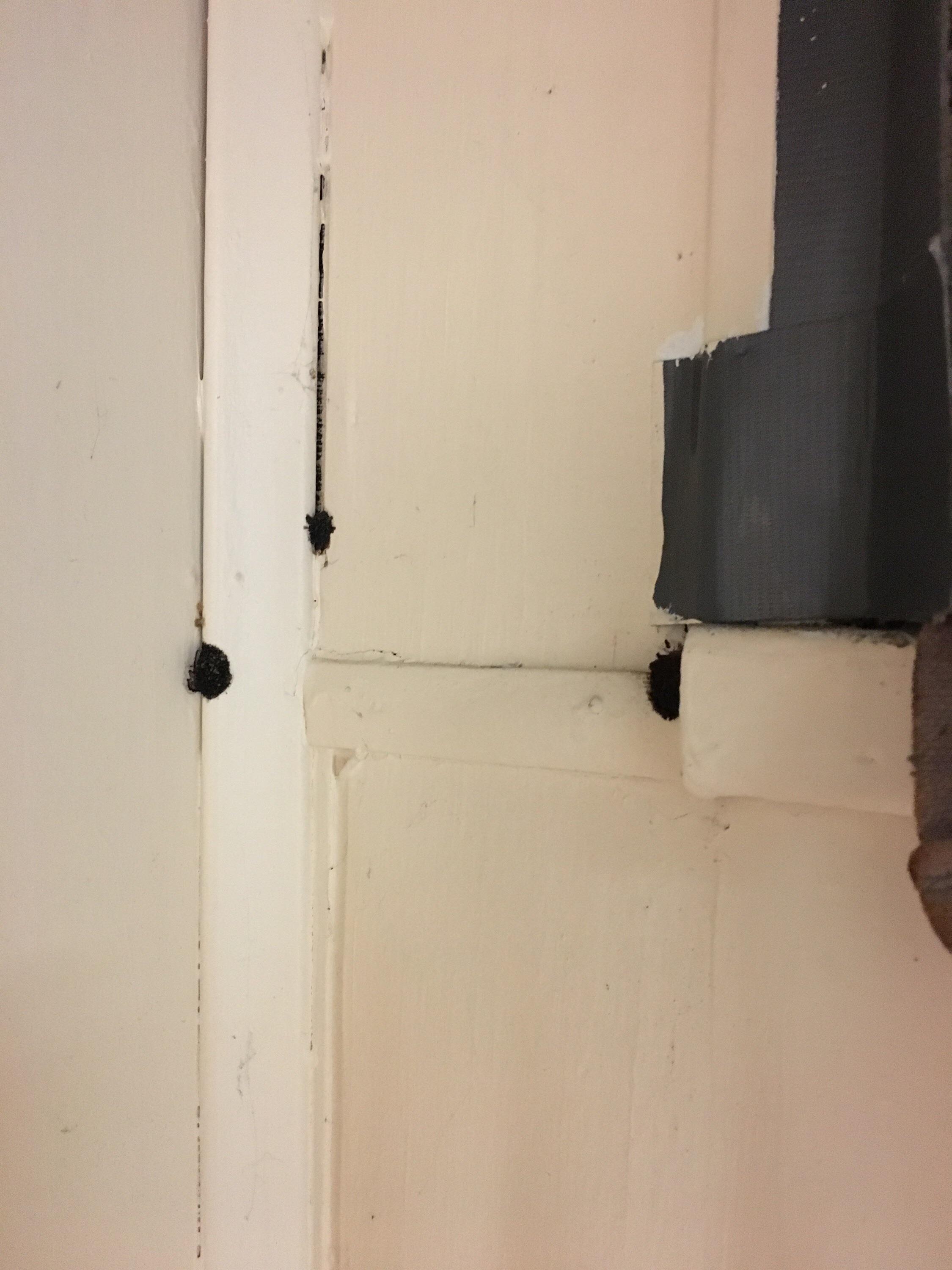 Is this black mold? Found in basement r/Mold