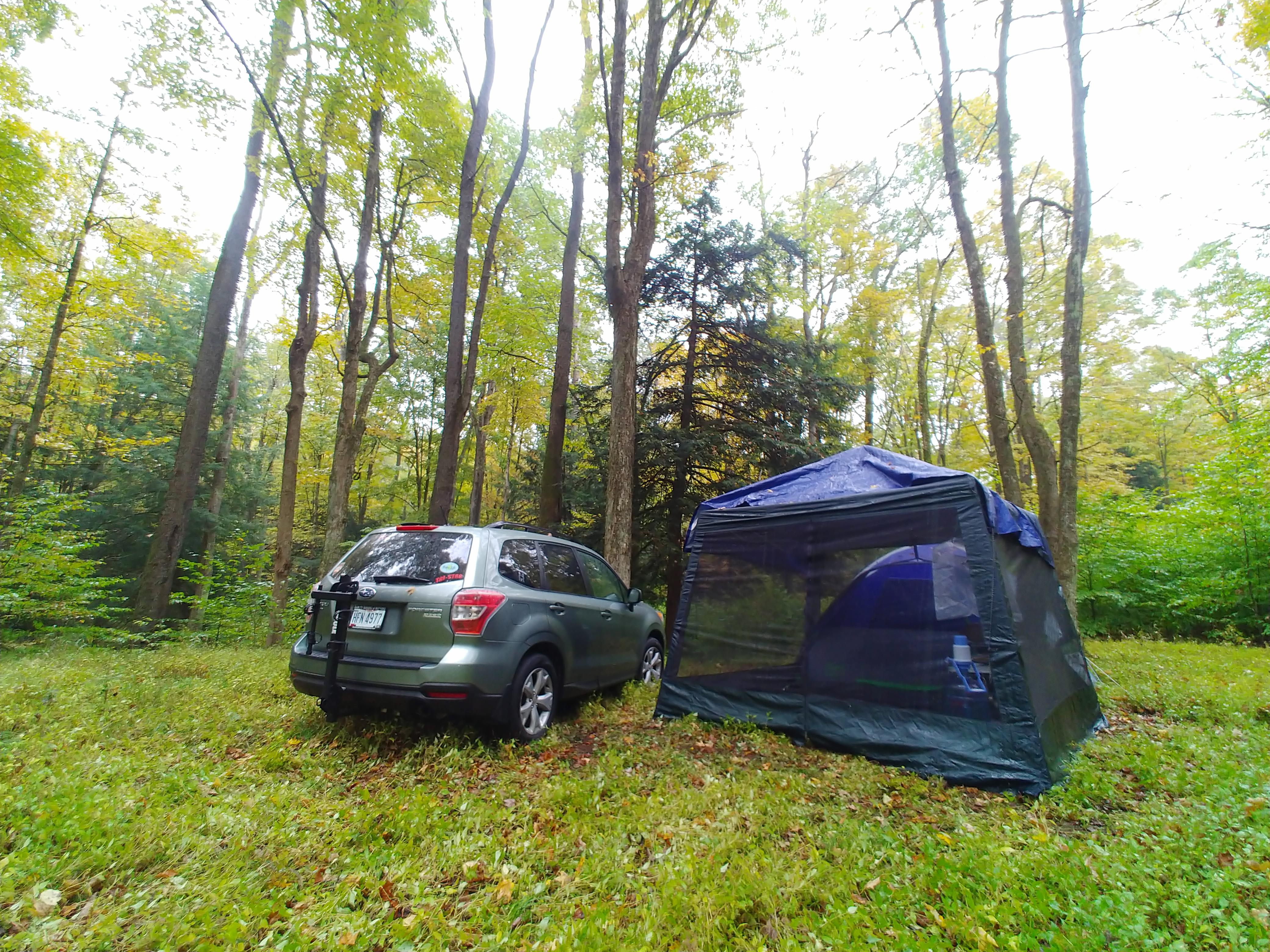Successful camping trip to the Allegheny national forest over the