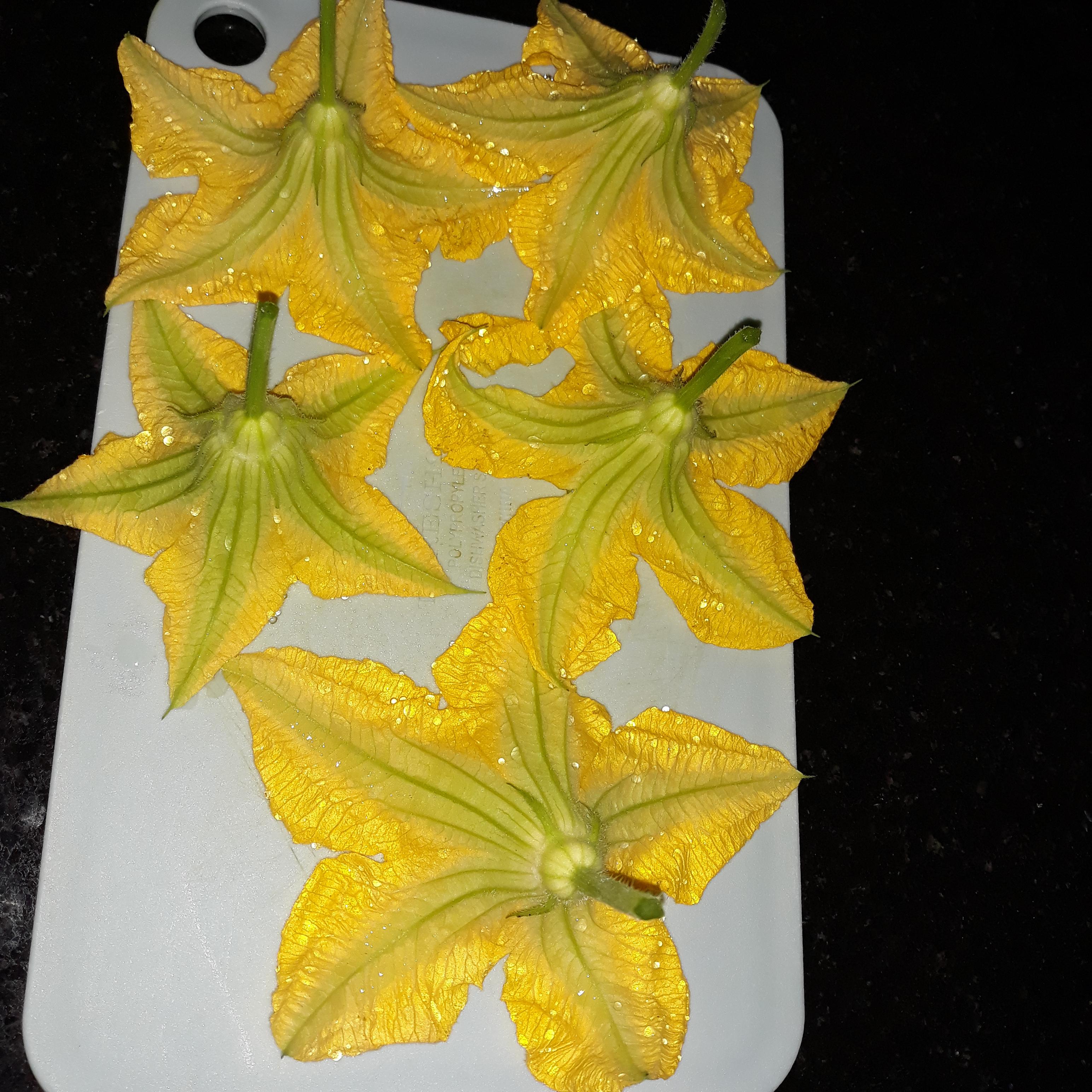 I've been watching videos on how to fry pumpkin flowers, so today I picked them to give it my