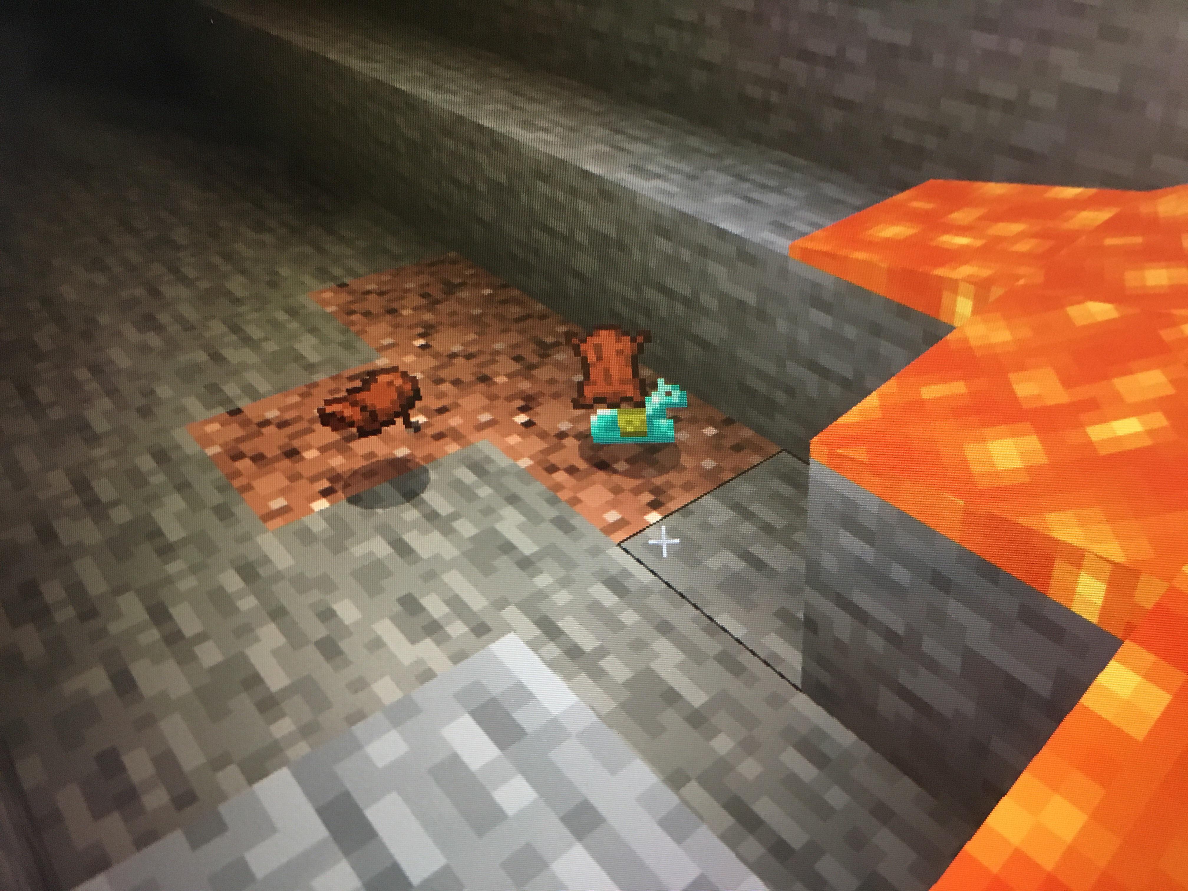 I couldn’t find my horse for hours. Went into a cave and saw this r