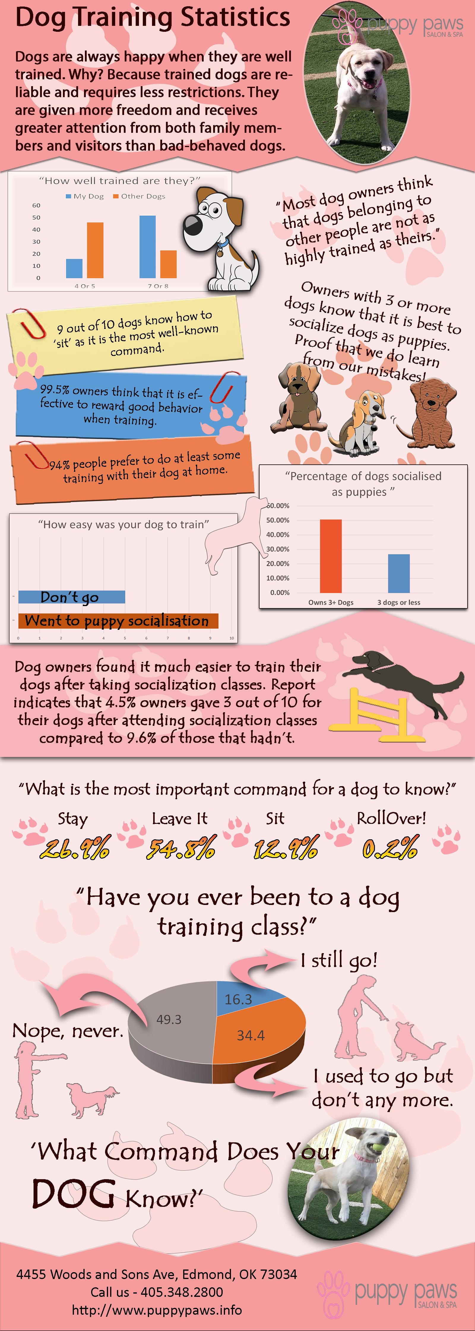 Dog Training Statistics r/Infographics