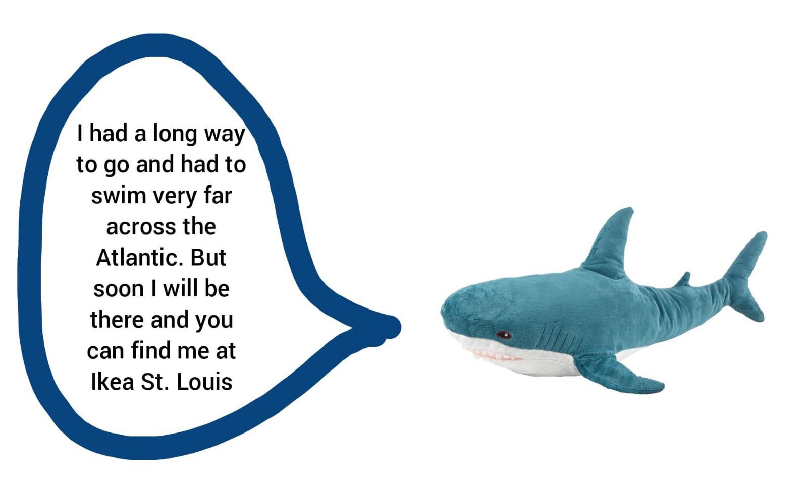 Blahaj was out of stock at my local ikea for the longest time😭 but when