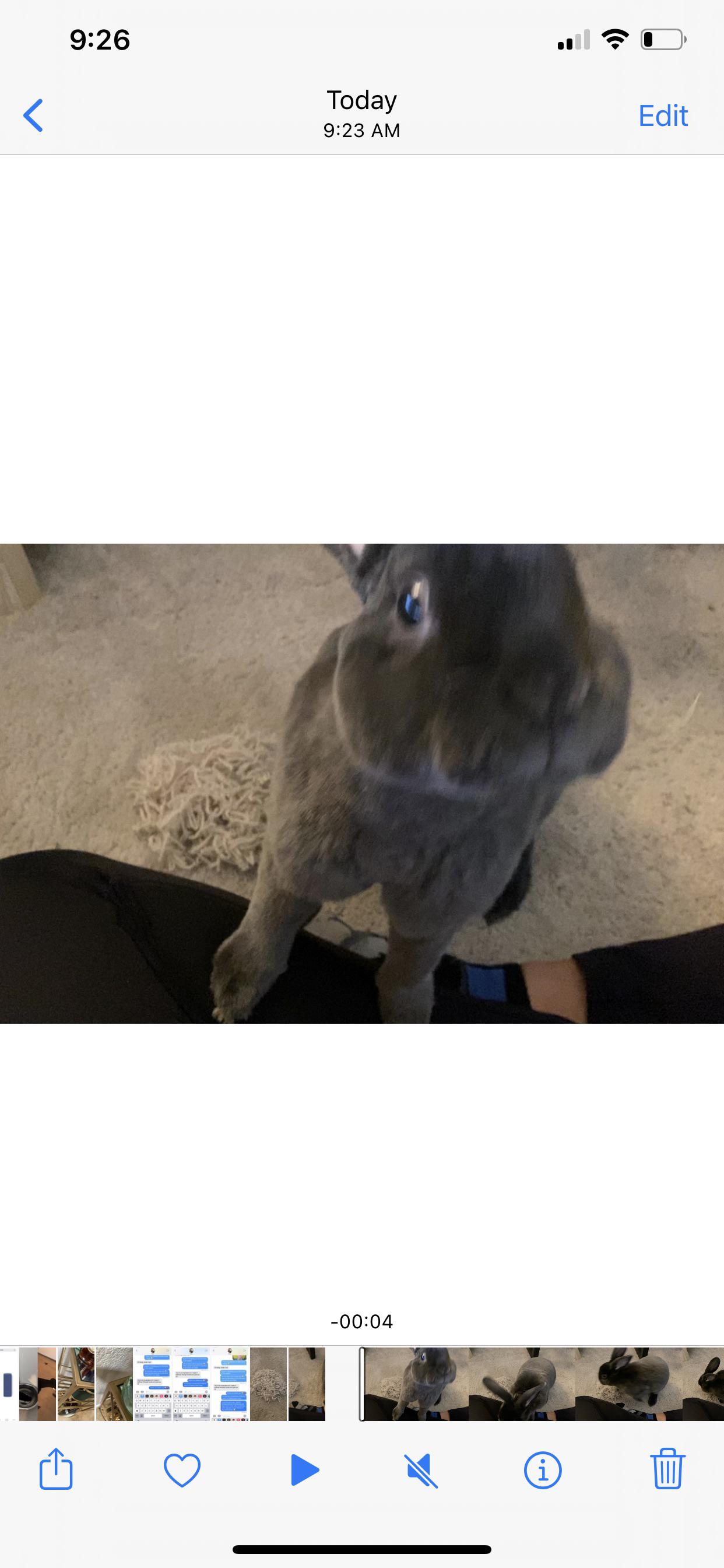 never not scoping mah spicy hay : bunnyshaming