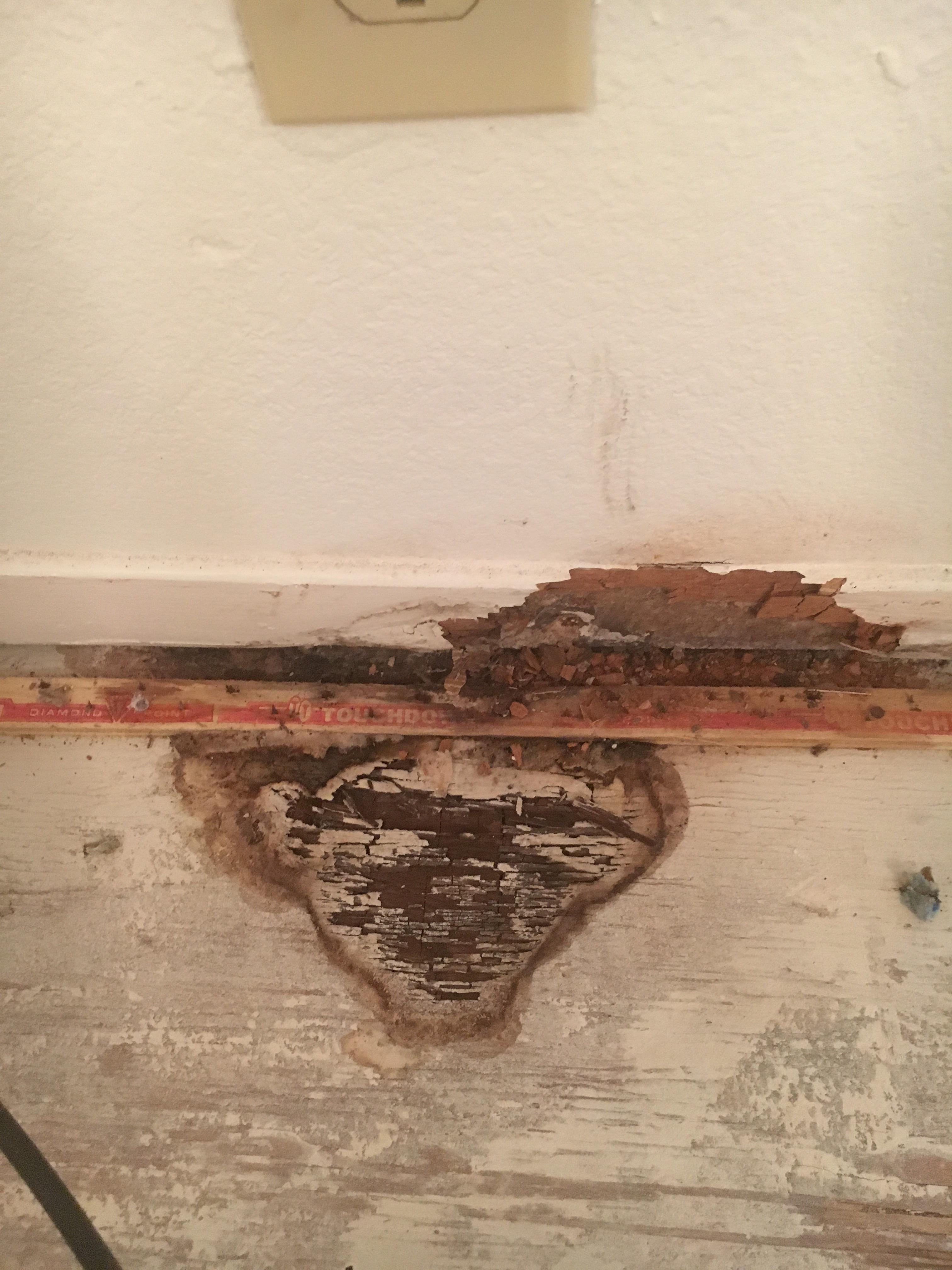 Toilet behind this wall, smells like a sewer. Wood is dry. Told by