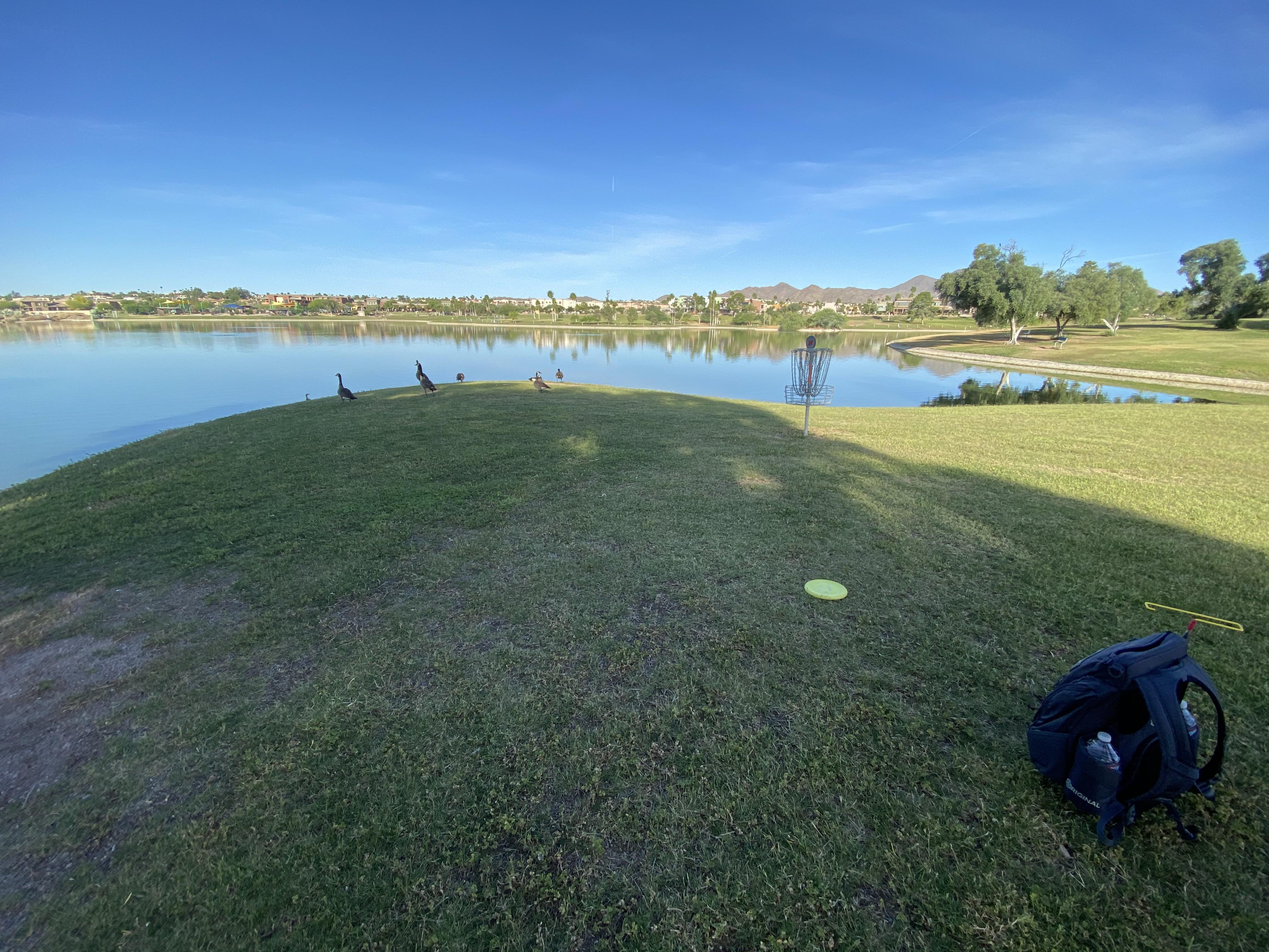 Fountain Hills Park this morning r/discgolf