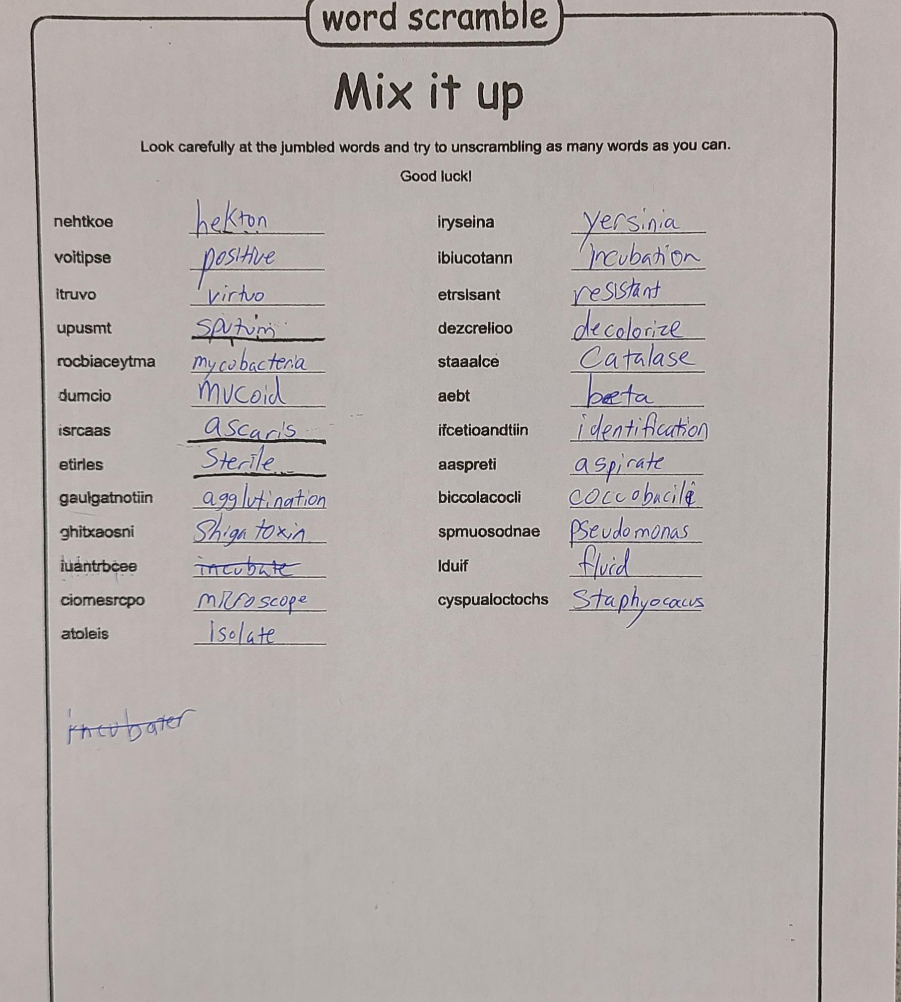 Playing a word scramble in our Micro lab for lab week. I can't find the