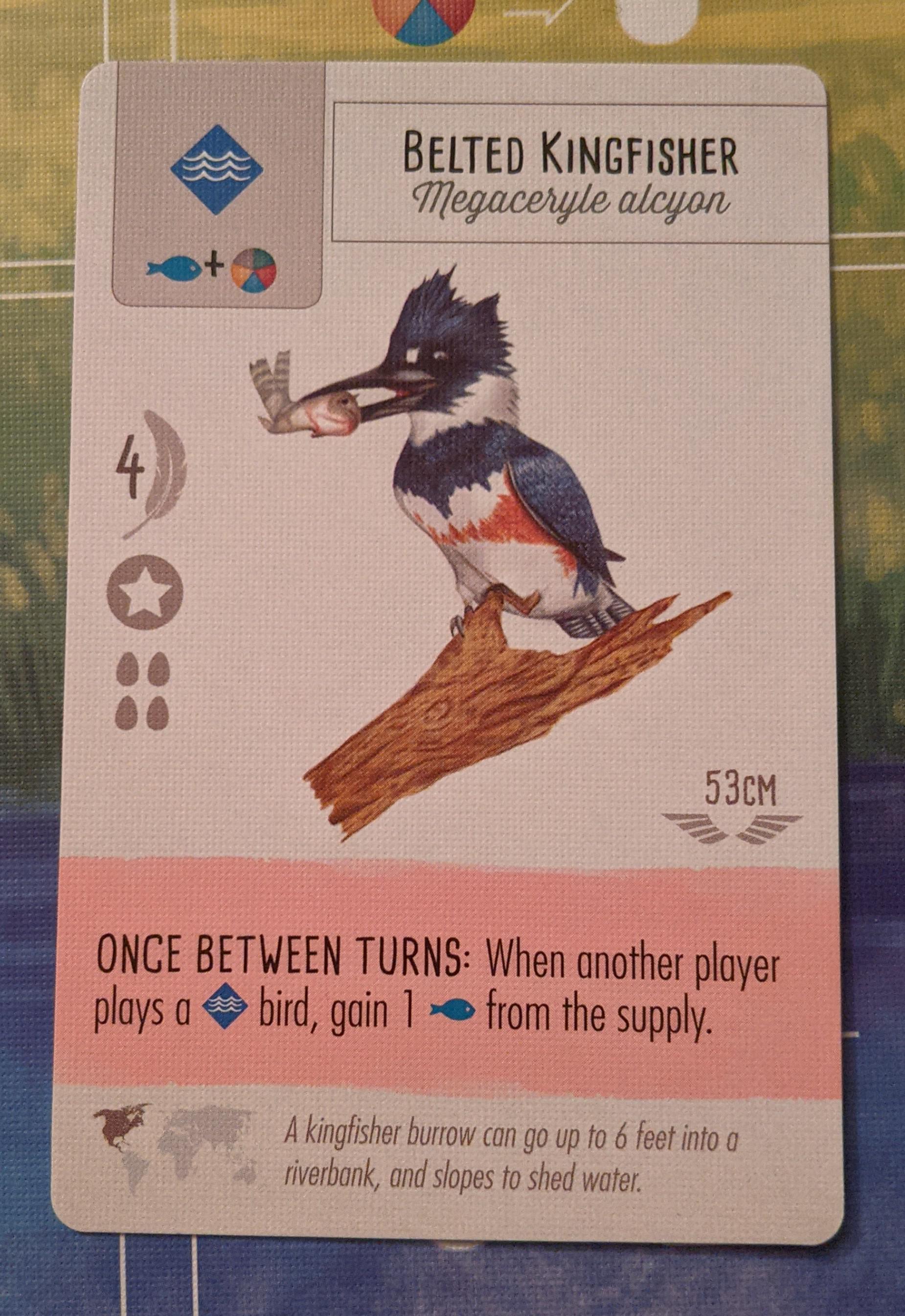 Look what I found in the game Wingspan r/UIUC