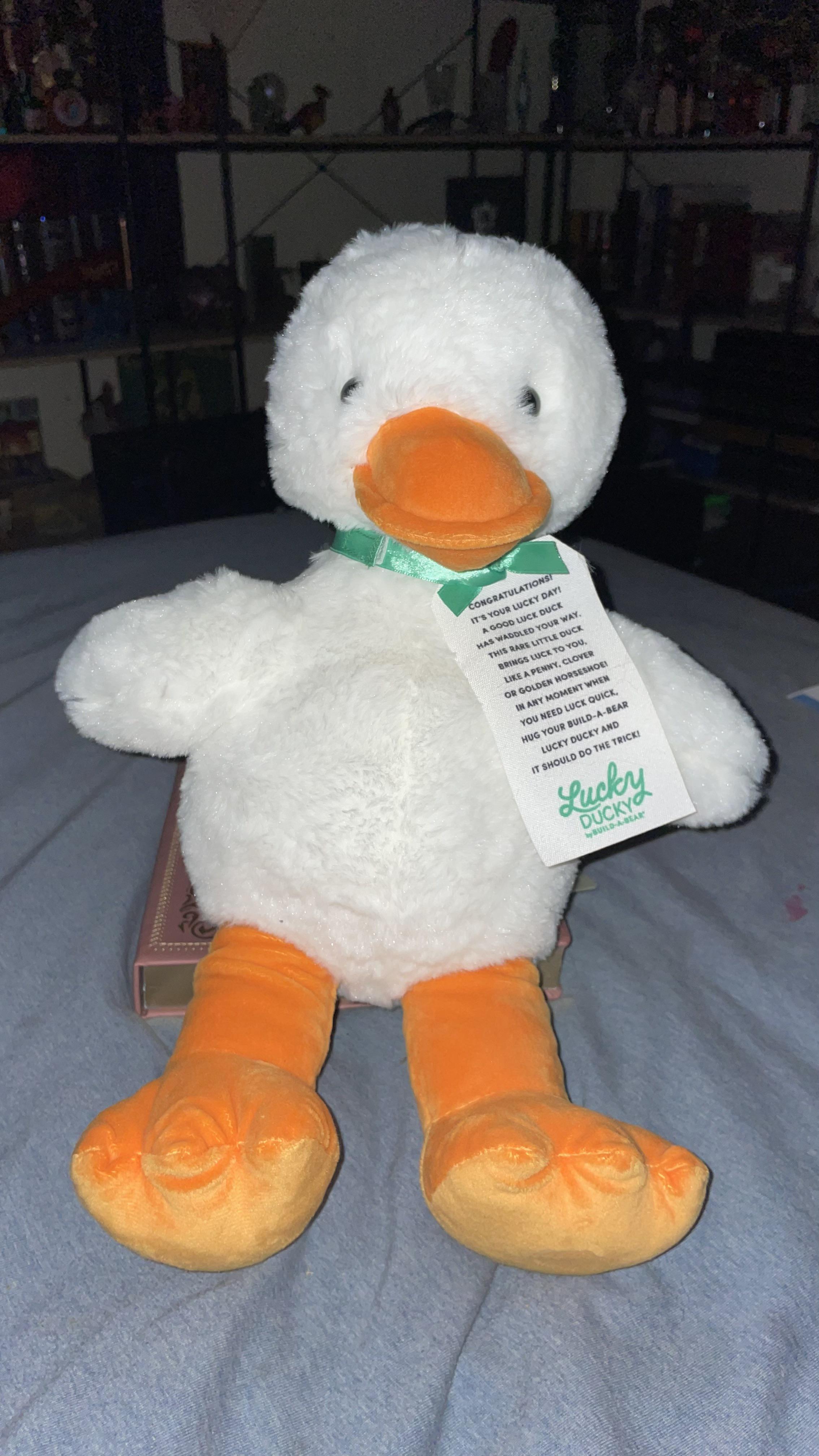 What to name my Lucky Ducky? Sir Francis Drake/ Count Duckula/ Ducky