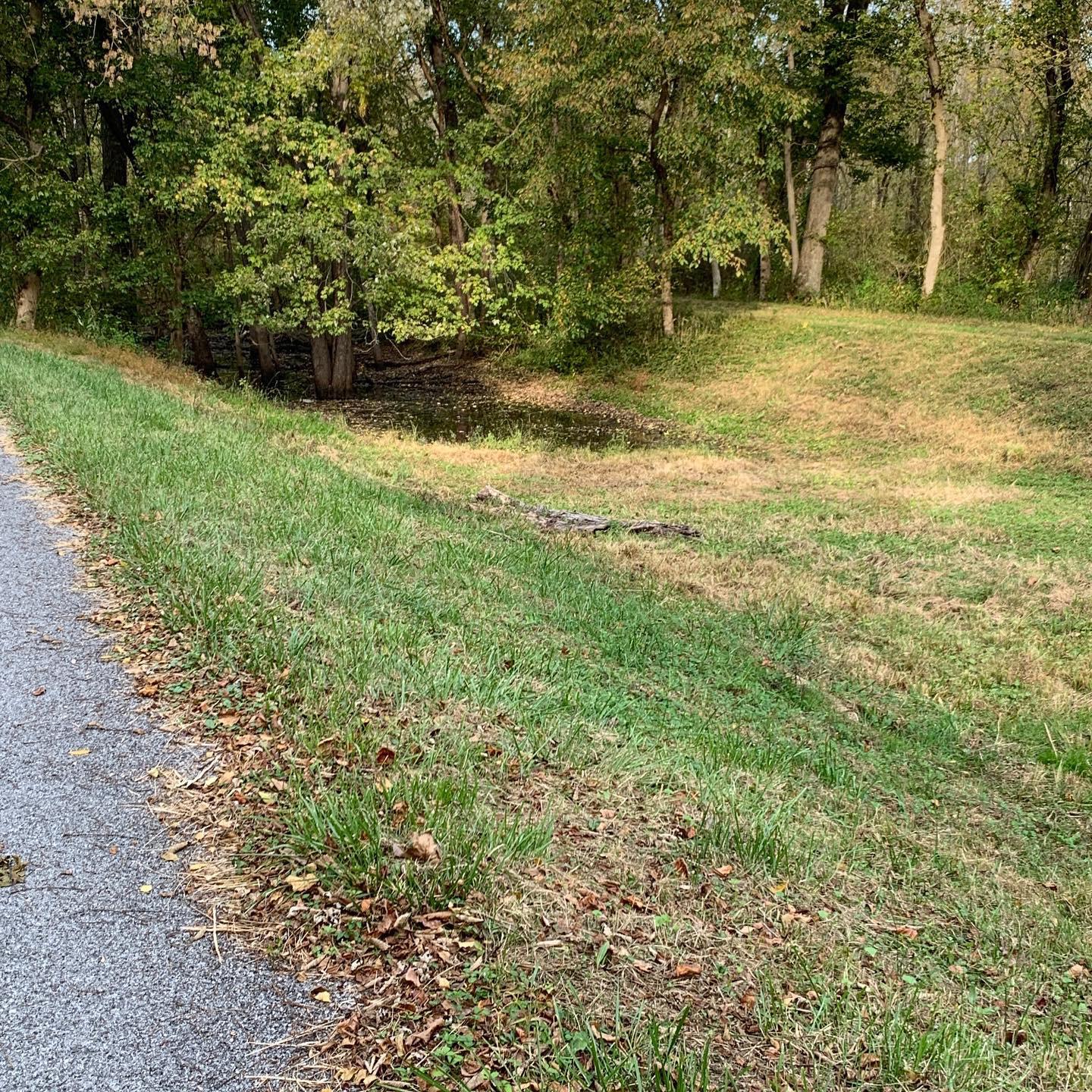 Overgrown & Infilled C & O Canal Hancock, MD r/abandoned