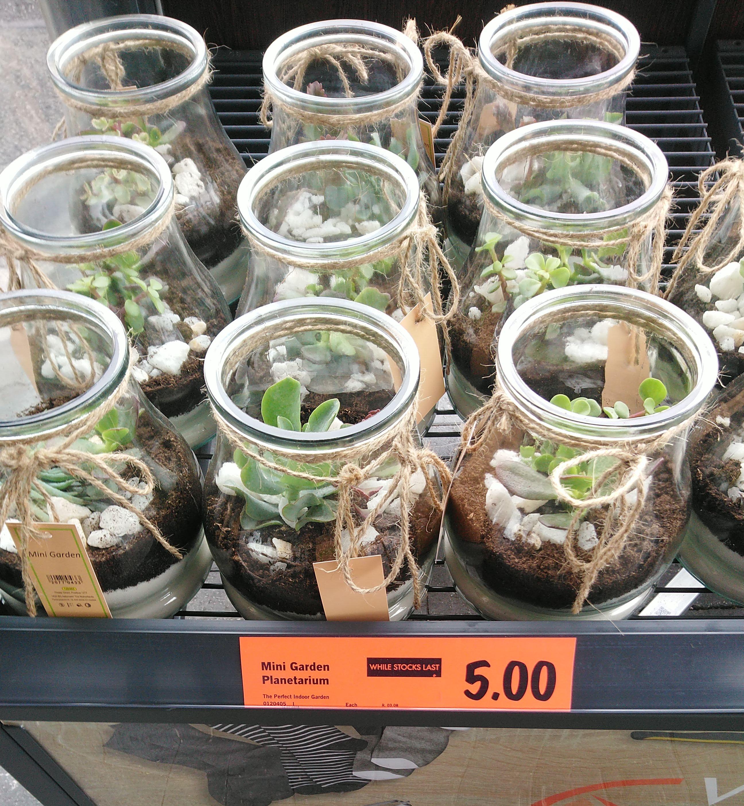 Pretty odd looking Lidl... r/CasualUK