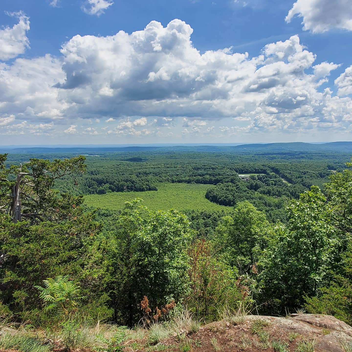 Hedgehog Trail West Simsbury r/Connecticut