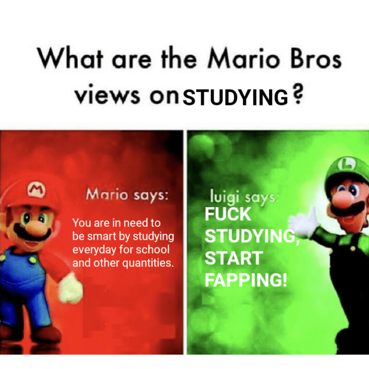 Here is a post of Mario and Luigi's thoughts on studying, which this is