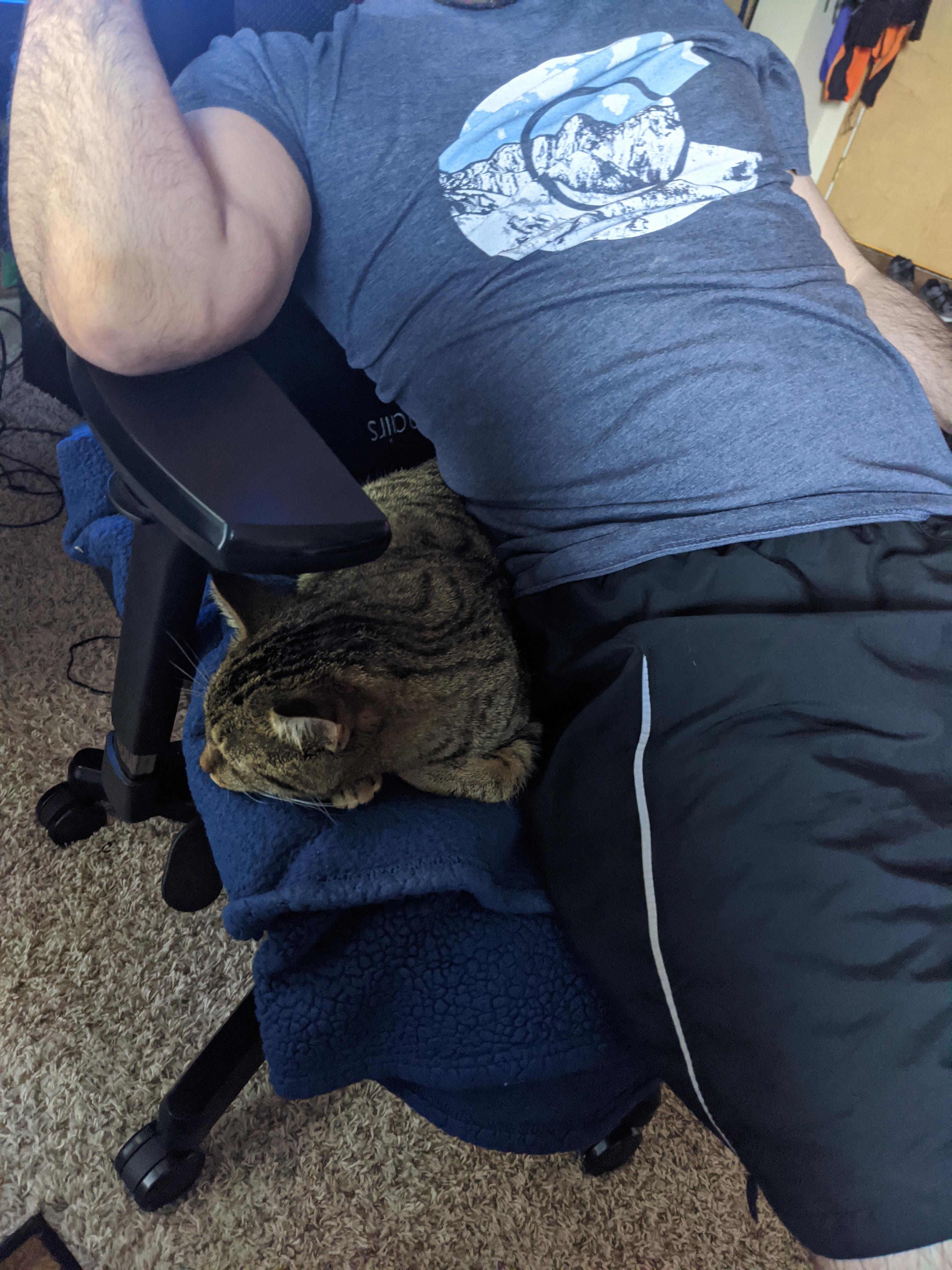 When your cat steals your computer chair and refuses to move. False