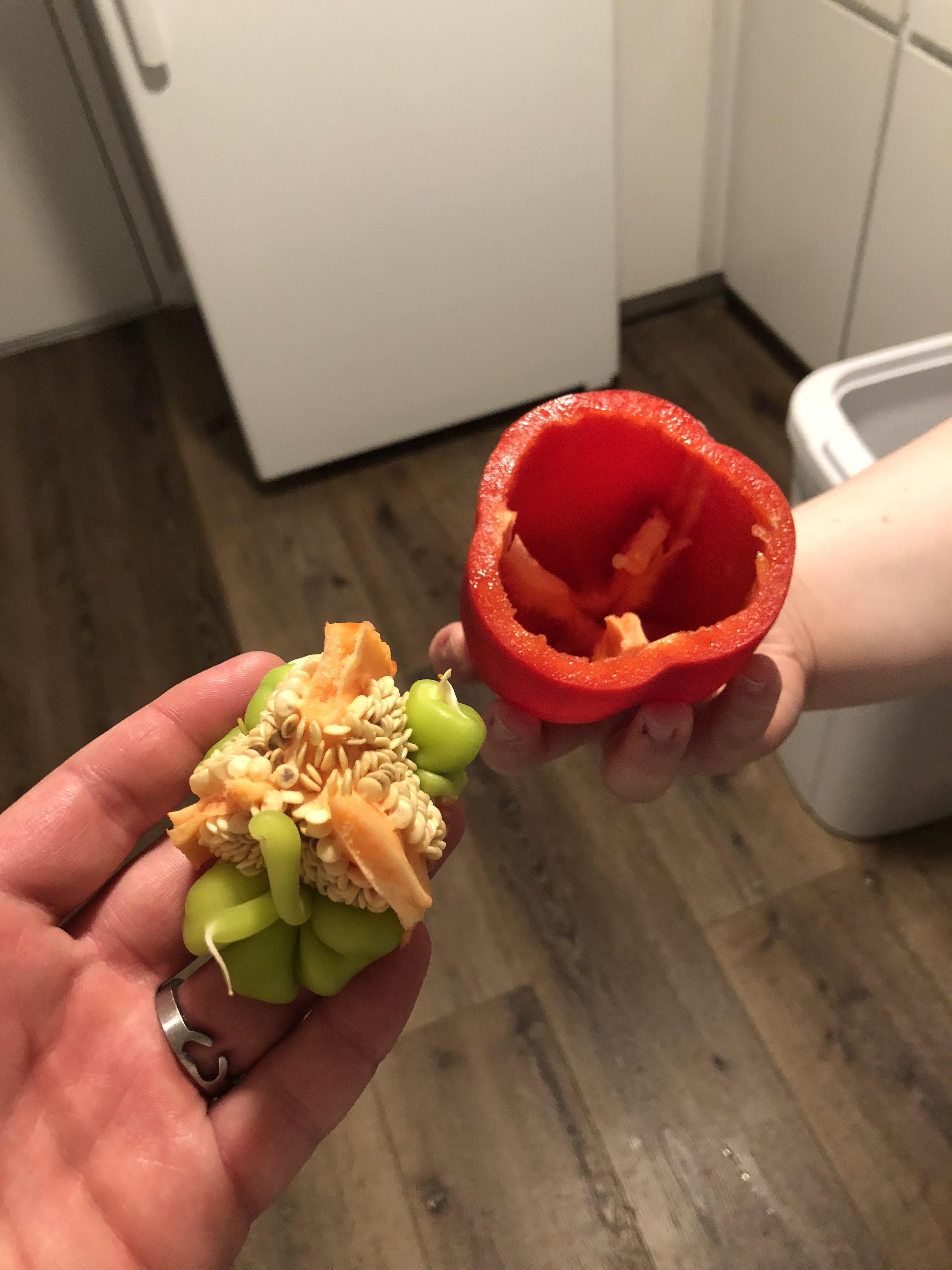 There were Bell Peppers growing inside our Bell Pepper r/pics