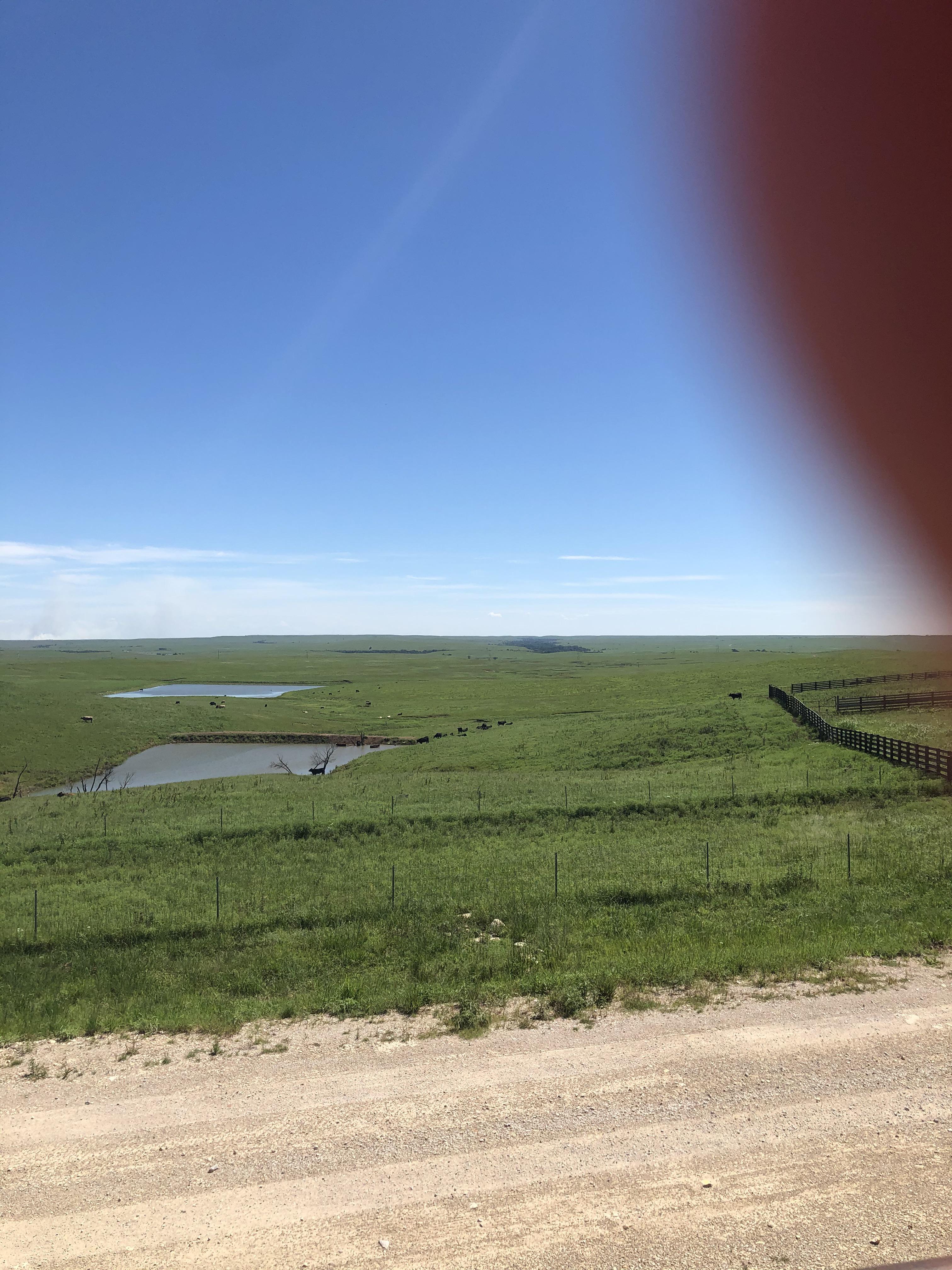 Kansas Prairie (Bazaar Cattle Pens off of I35) and a finger in the