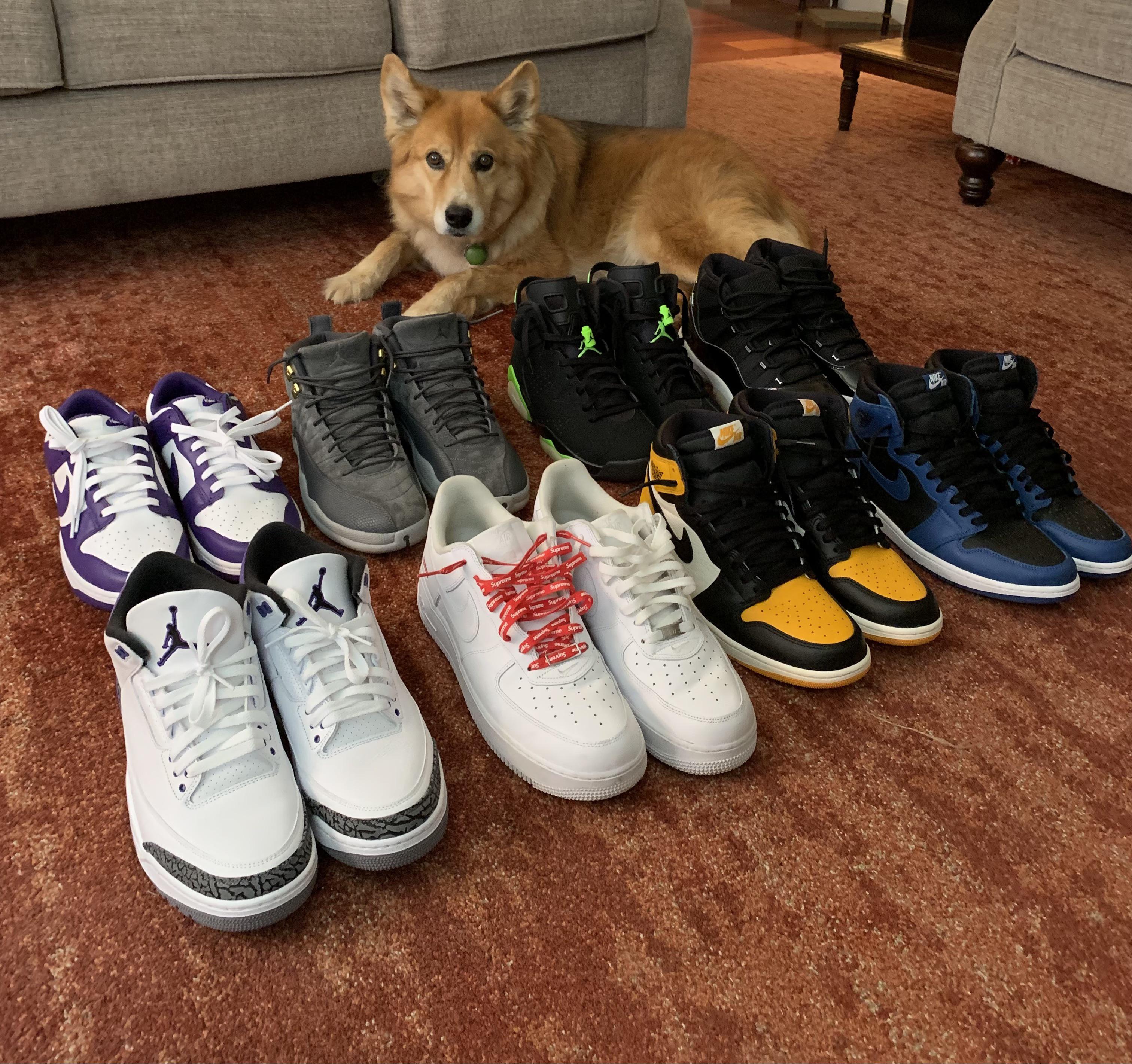 collection featuring my dog r/Sneakers