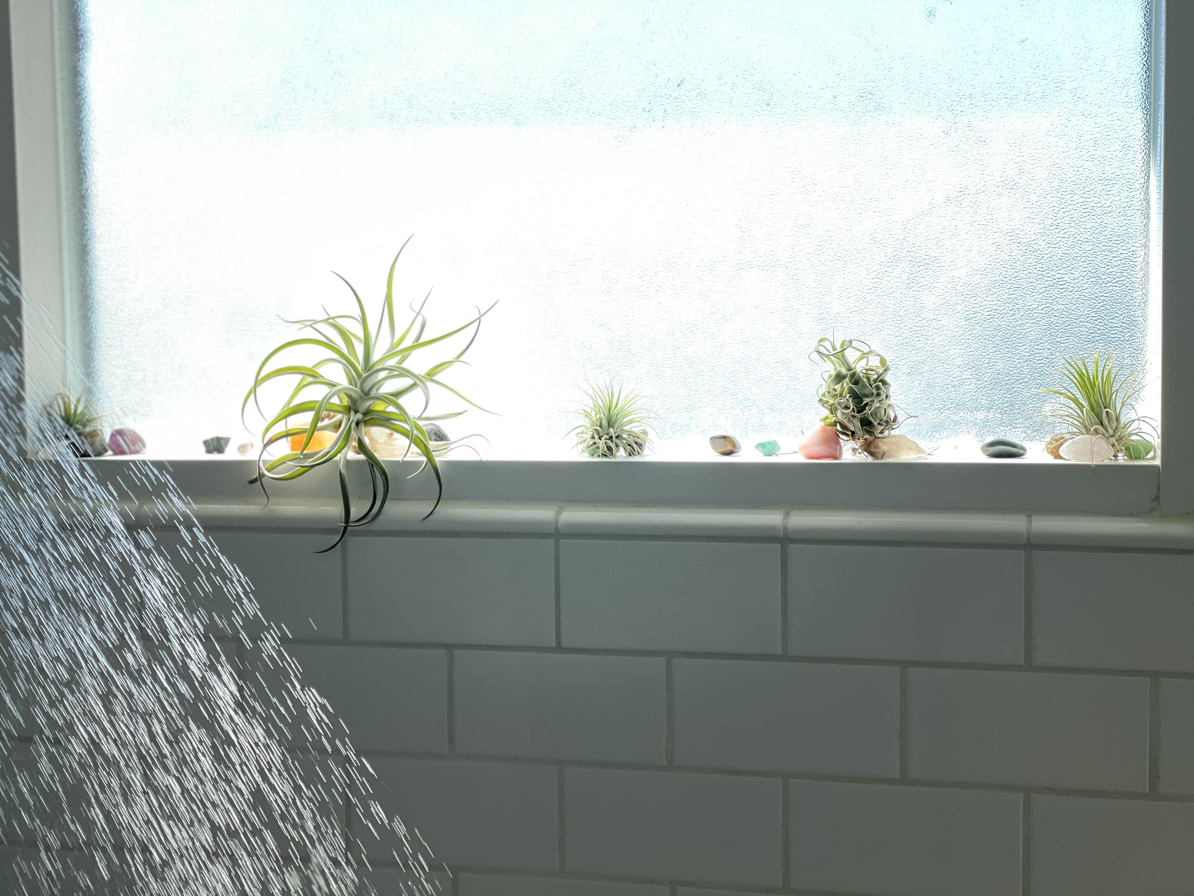 My shower crystals. r/Crystals