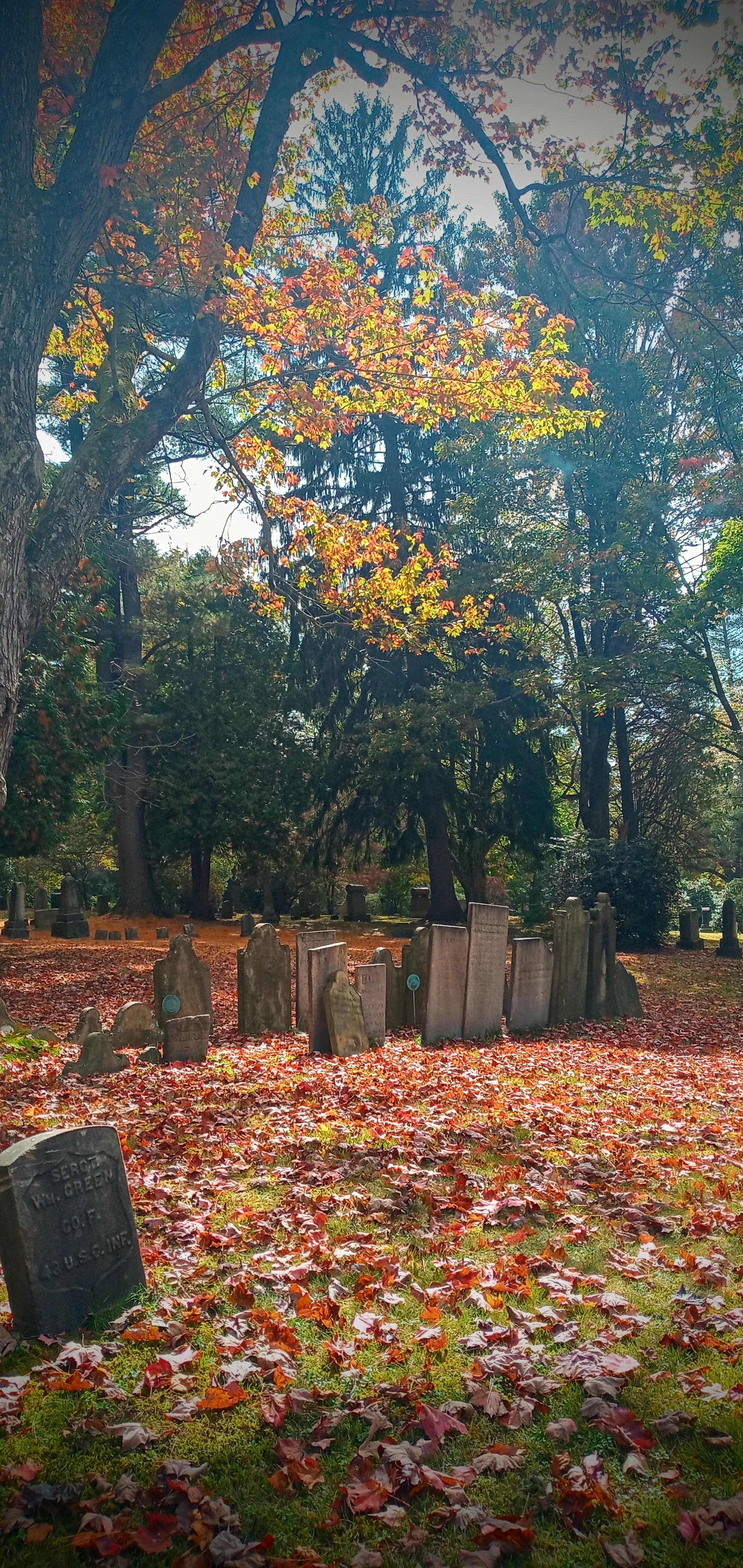 Grouping of civil war area headstones surrounded by Fall beauty