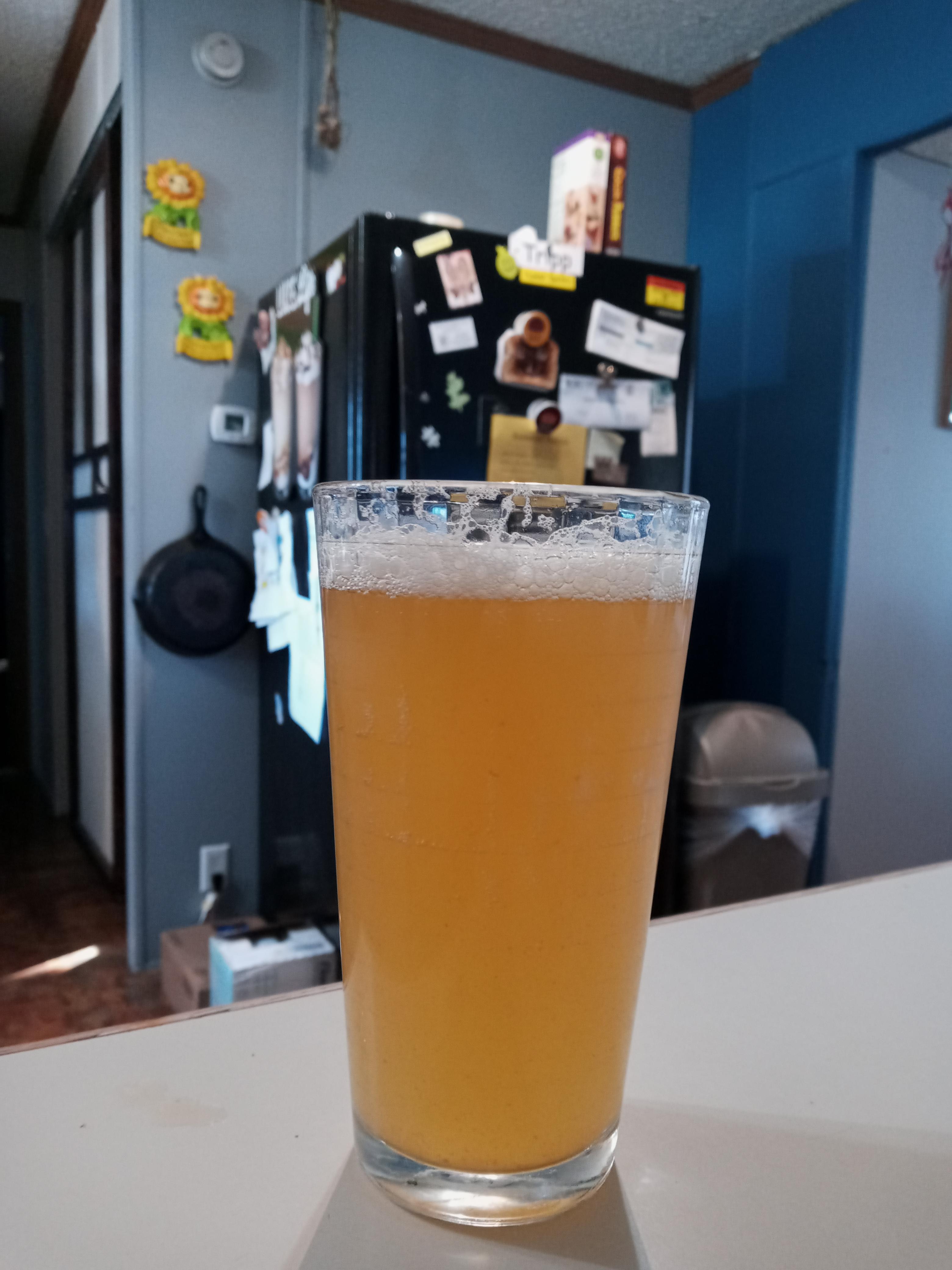 My first successful glass of kombucha. Pineapple Ginger. r/Kombucha