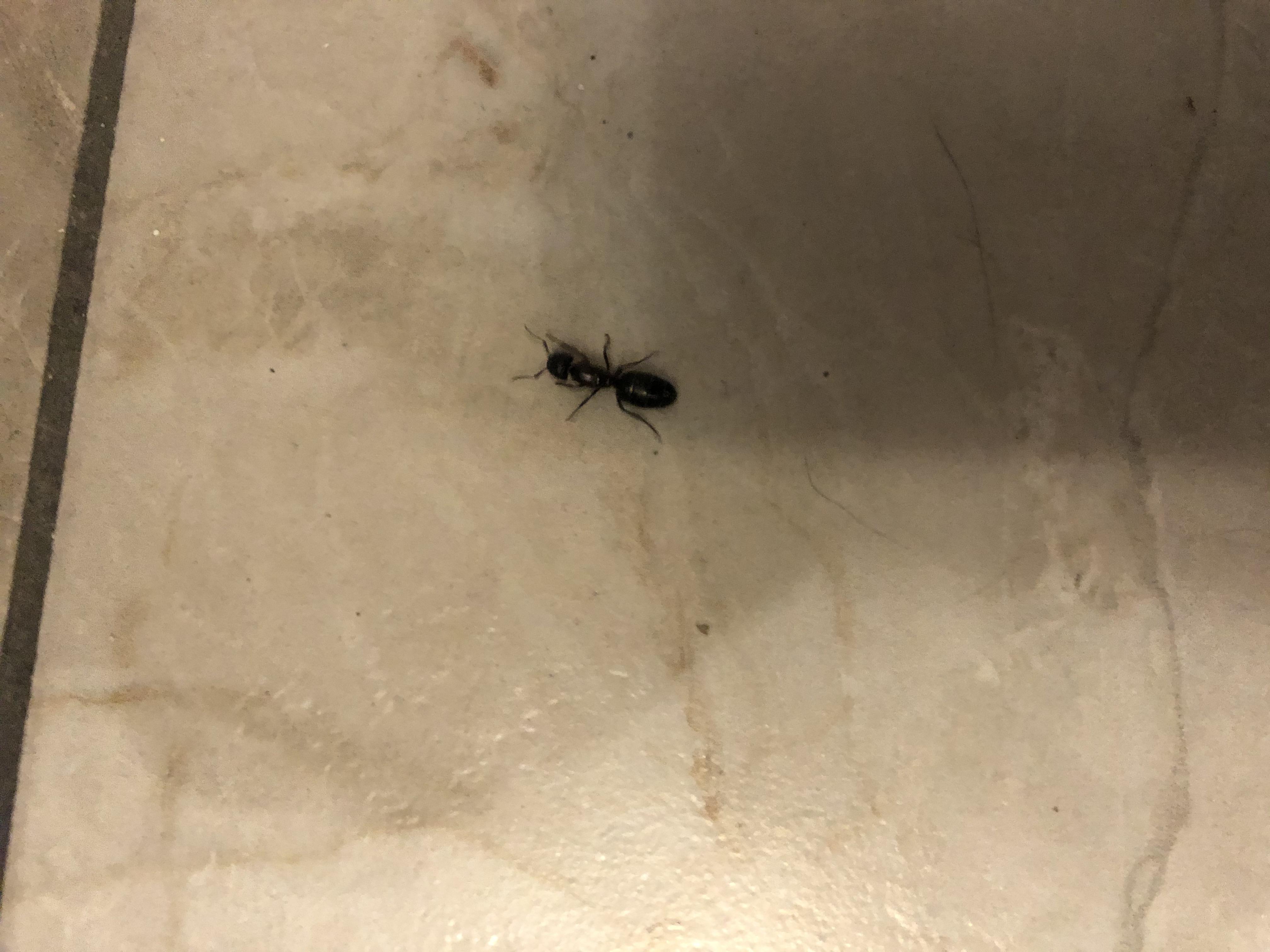 Reddit Dive into anything