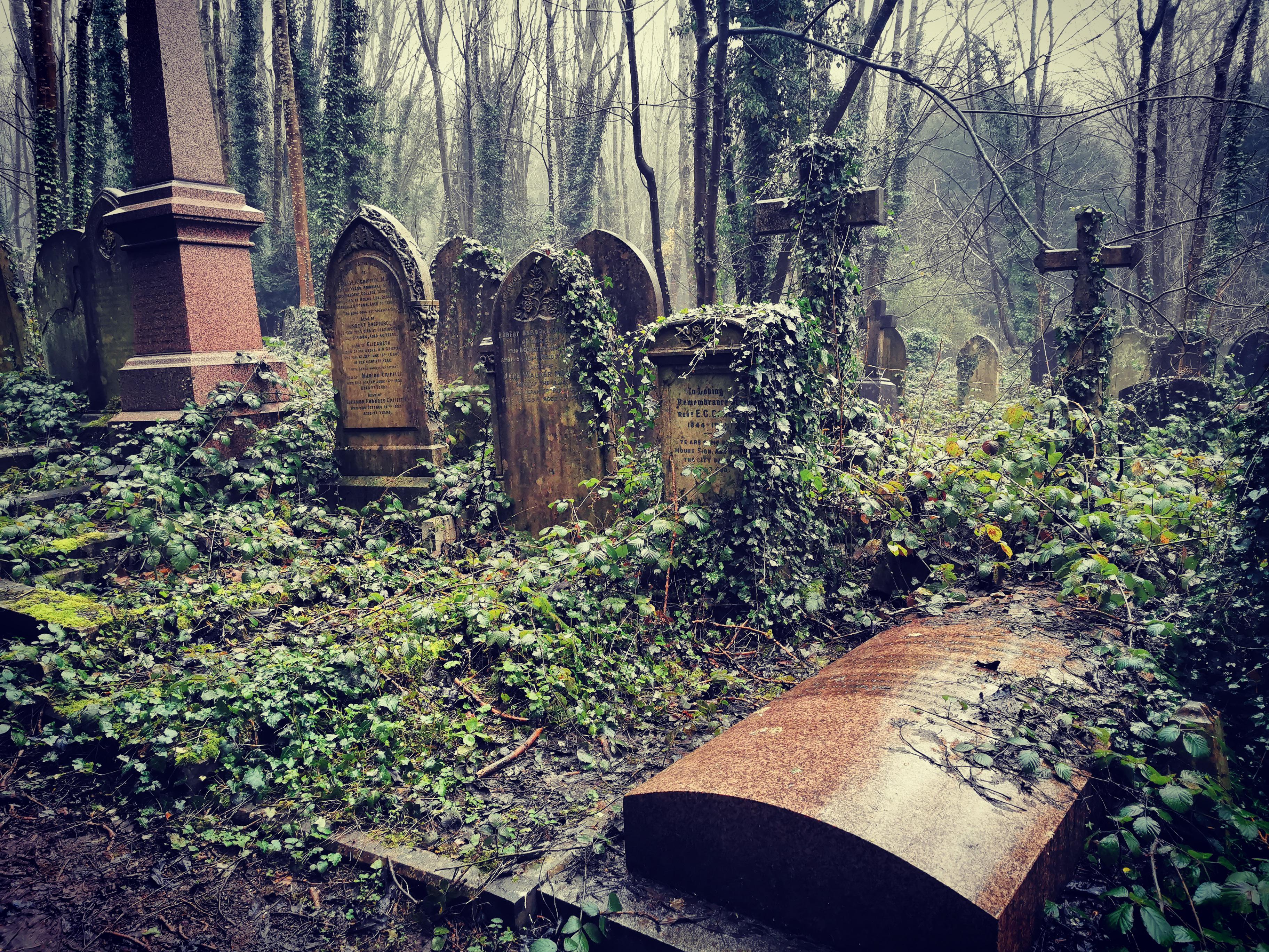 arnos vale cemetery Reddit post and comment search SocialGrep
