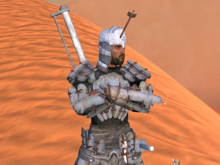 Living proof that helmets are more than just a cosmetic accessory r/Kenshi