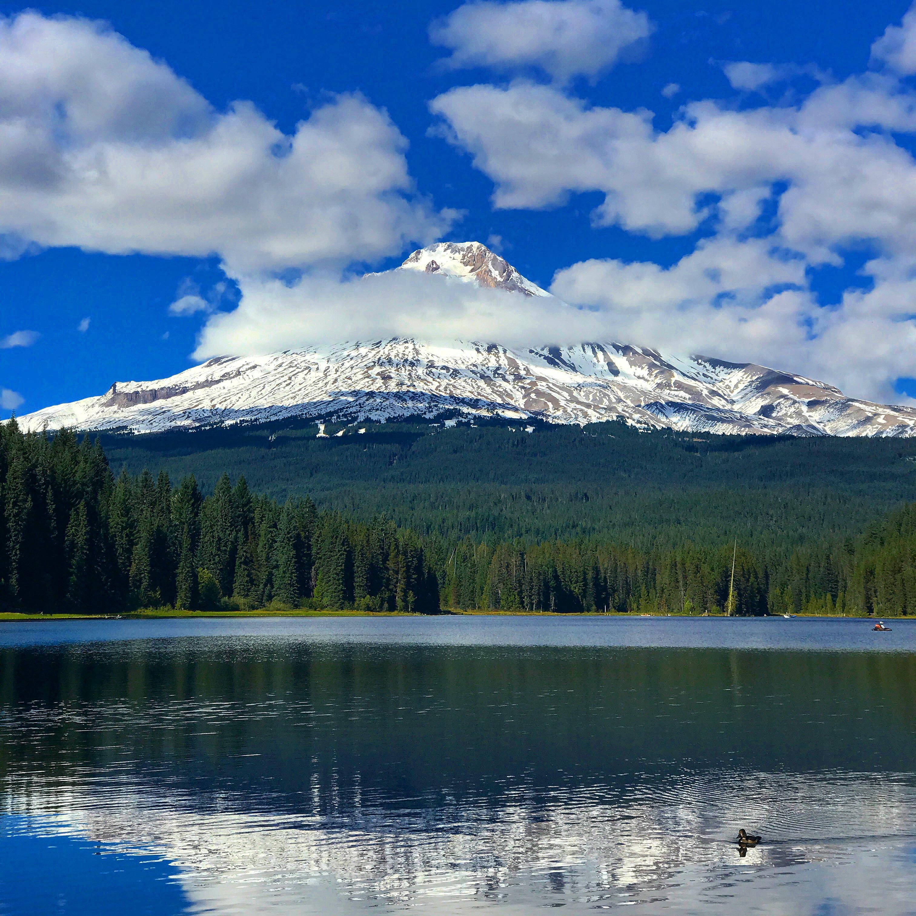 My picture of Mt. Hood, Oregon from Trillium Lake. September 26, 2017