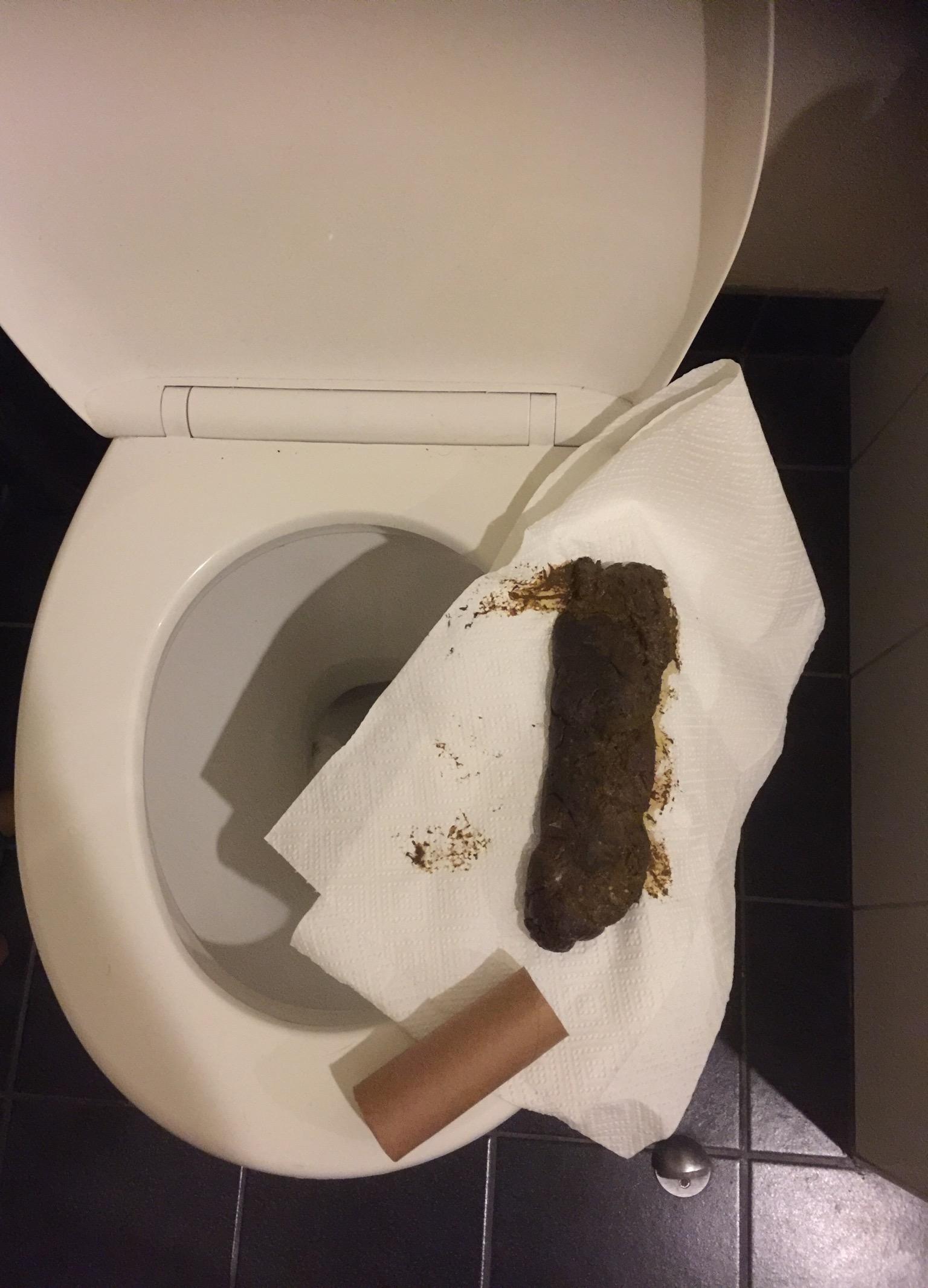 2063 best r/poop images on Pholder My shit looks like an up vote!
