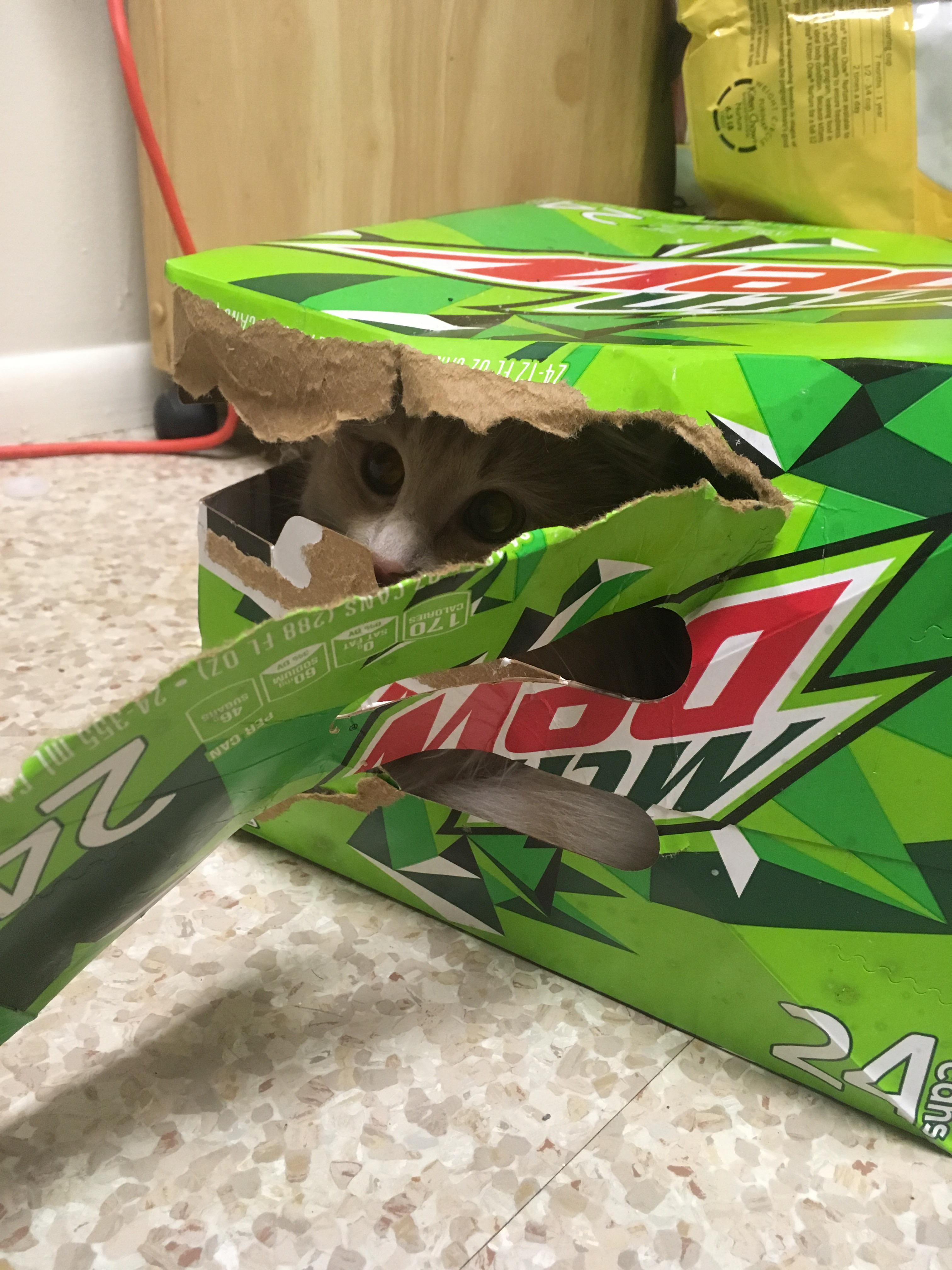 What some see as an empty beverage box, I see as an opportunity to