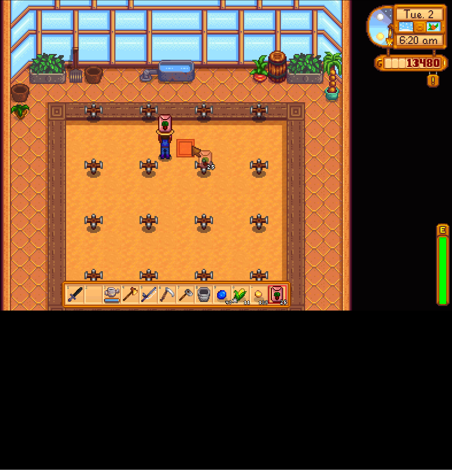 Cant plant stuff in greenhouse r/StardewValley