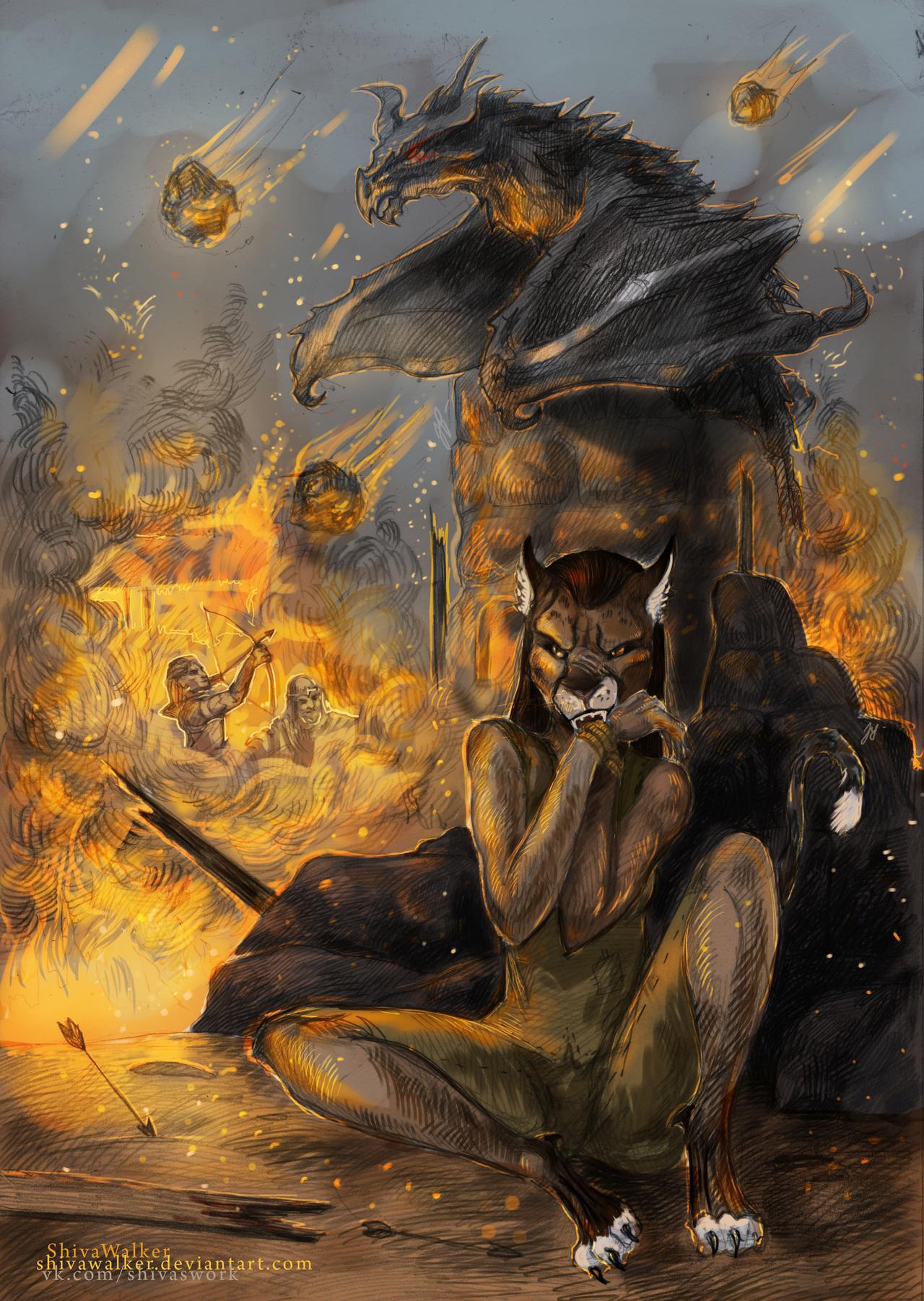 Elder Scrolls khajiit is innocent of this crime By ShivaWalker r