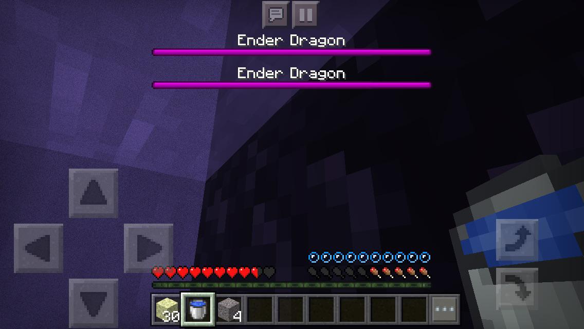 HELP IM SO SCARED WHAT IS THIS GLITCH (yes there are two dragons