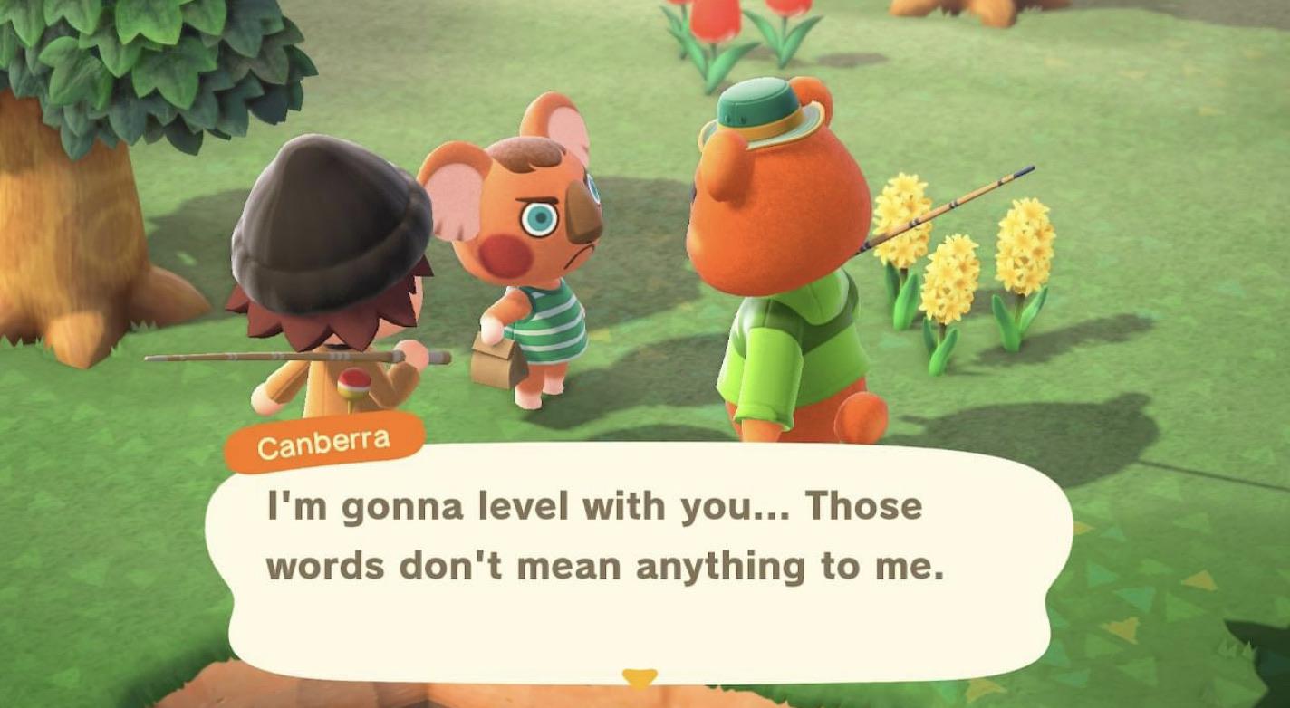 Canberra keeping it real >) r/AnimalCrossingNewHor