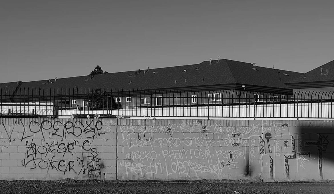 Lopers 13 r/CaliBanging