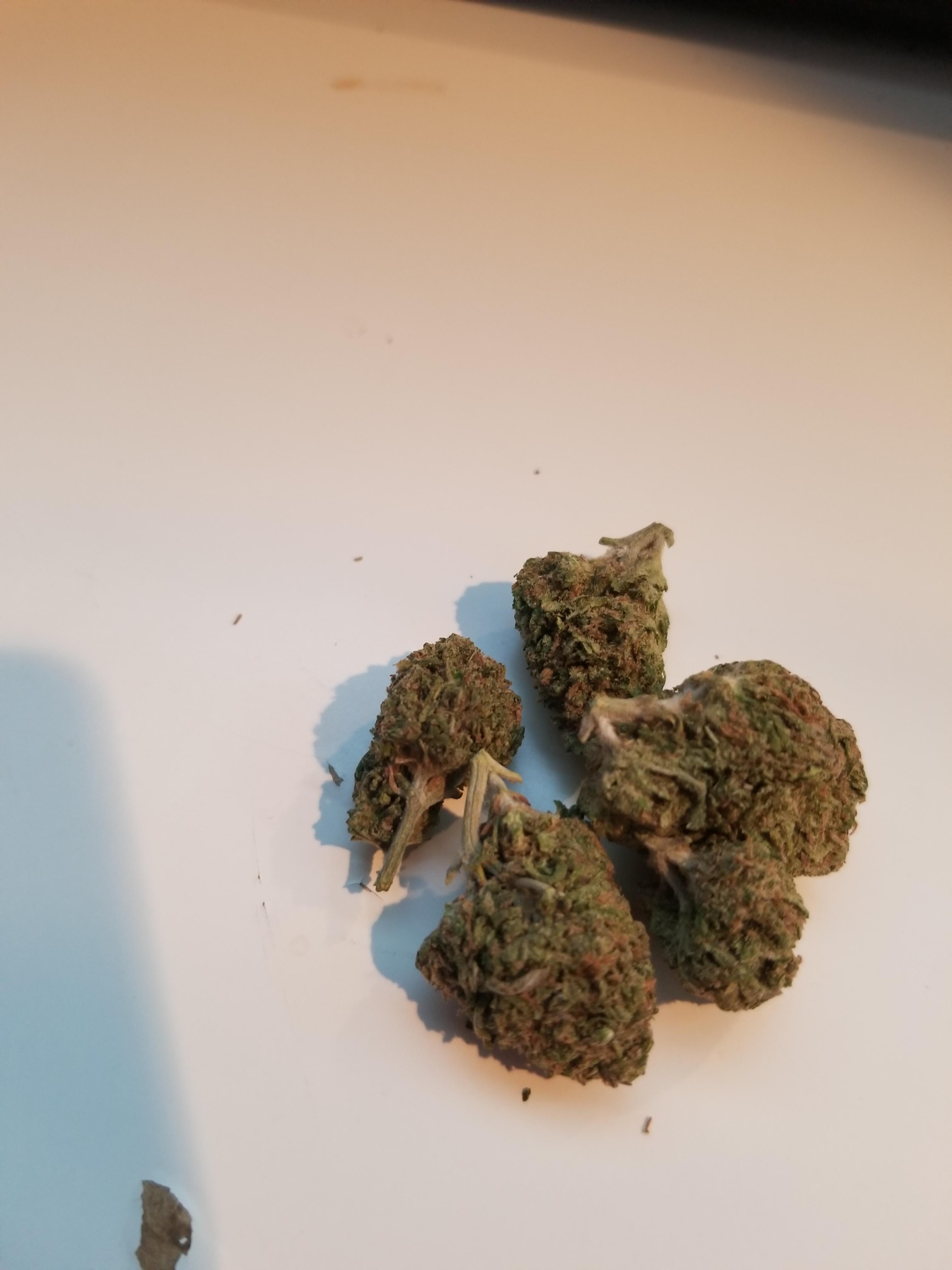 Just picked up the strongest smelling bud ive ever seen (unknown strain) r/trees