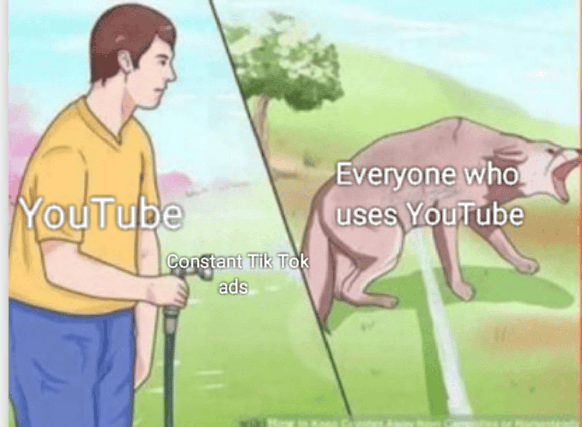 Tik Tok is Gay (Reupload) dankmemes