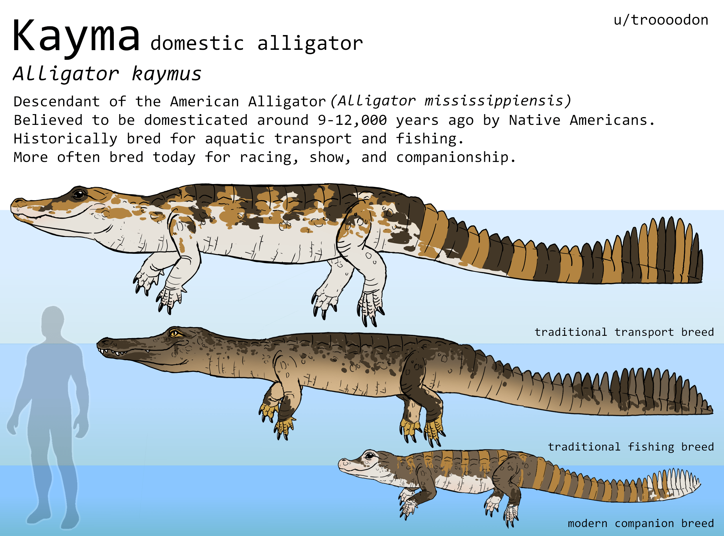 overview for Fearless_Phantom